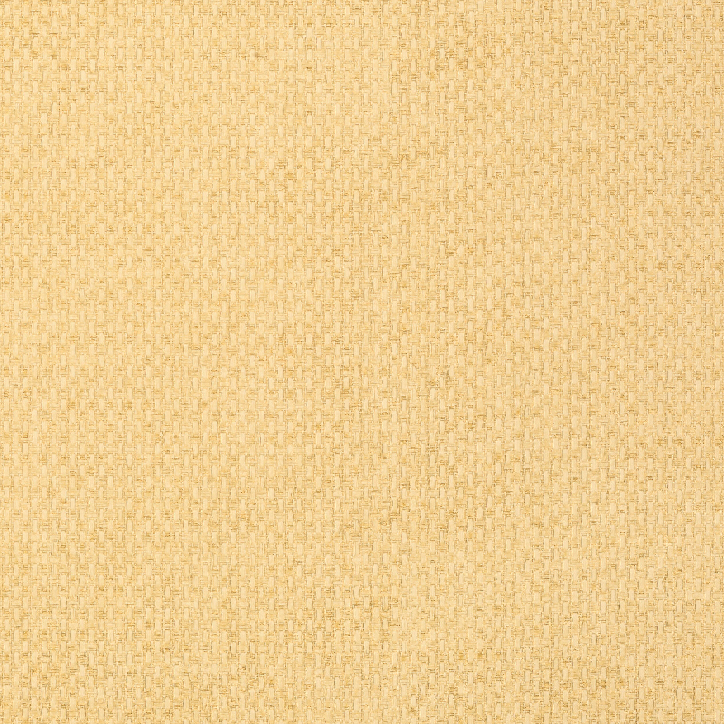 Monaco wallpaper in straw color - pattern number T14171 - by Thibaut in the Texture Resource Volume 4 collection