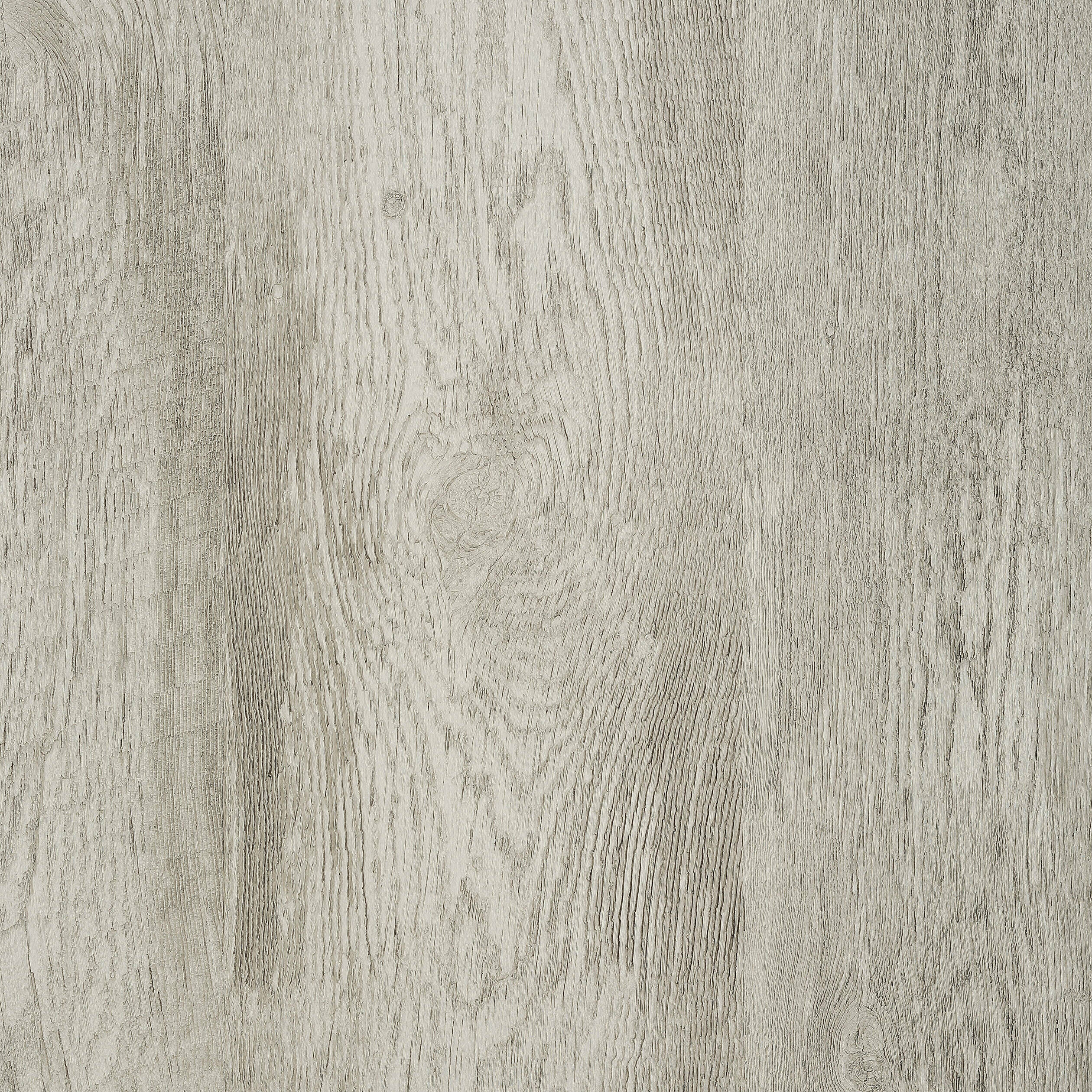 Eastwood wallpaper in grey color - pattern number T14177 - by Thibaut in the Texture Resource Volume 5 collection