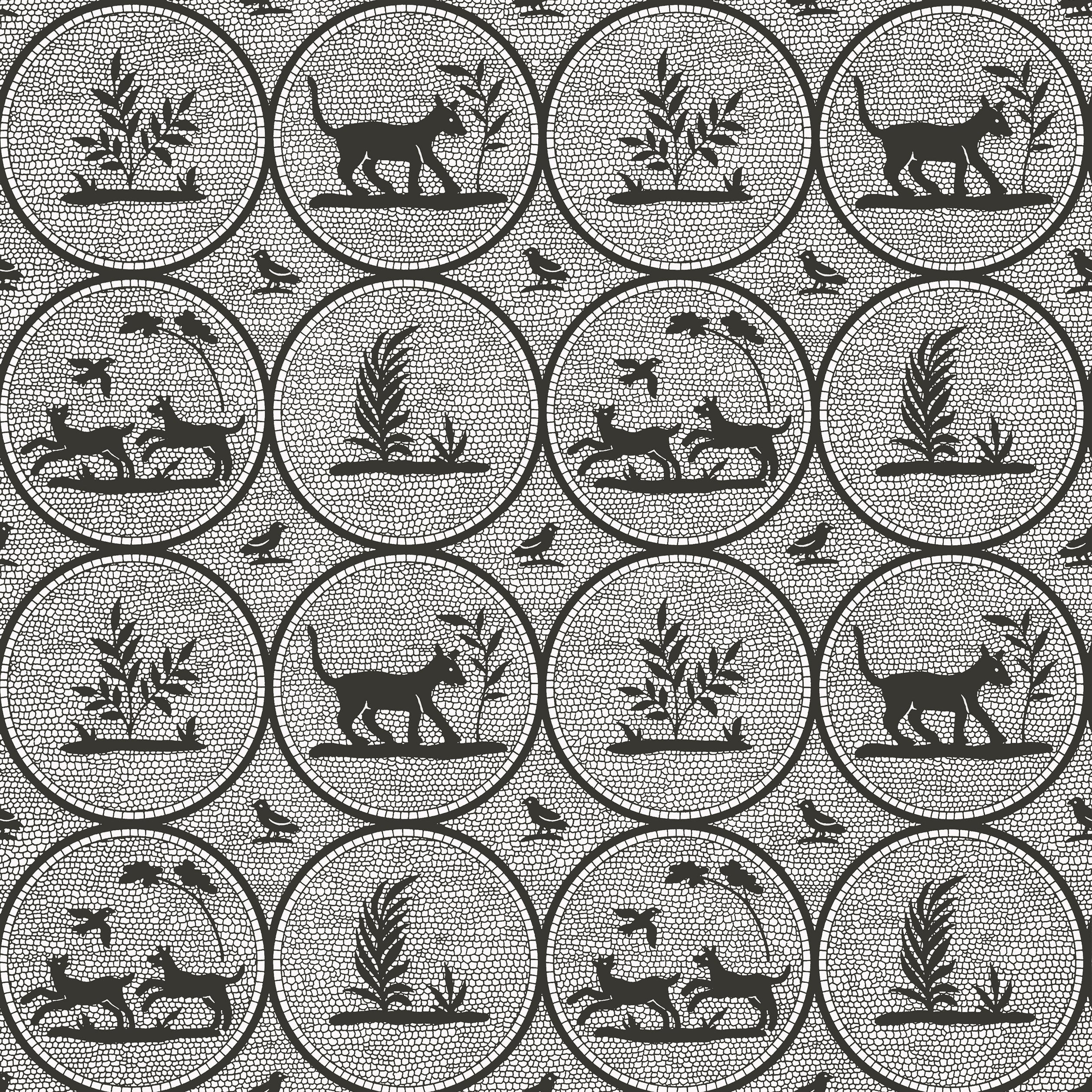 Dooley wallpaper in black color - pattern number T14347 - by Thibaut in the Canopy collection
