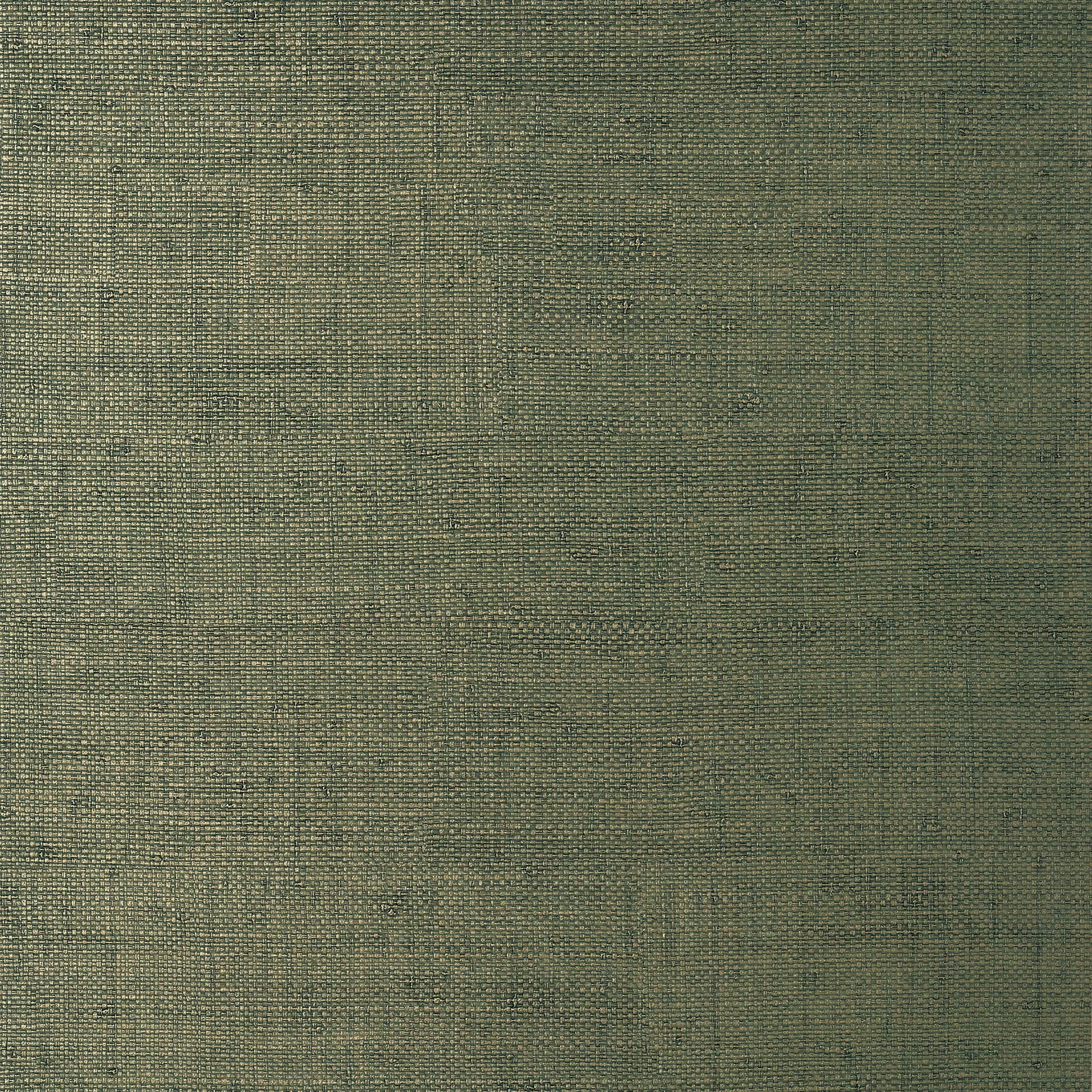 Bankun Raffia wallpaper in forest color - pattern number T14513 - by Thibaut in the Texture Resource Volume 8 collection