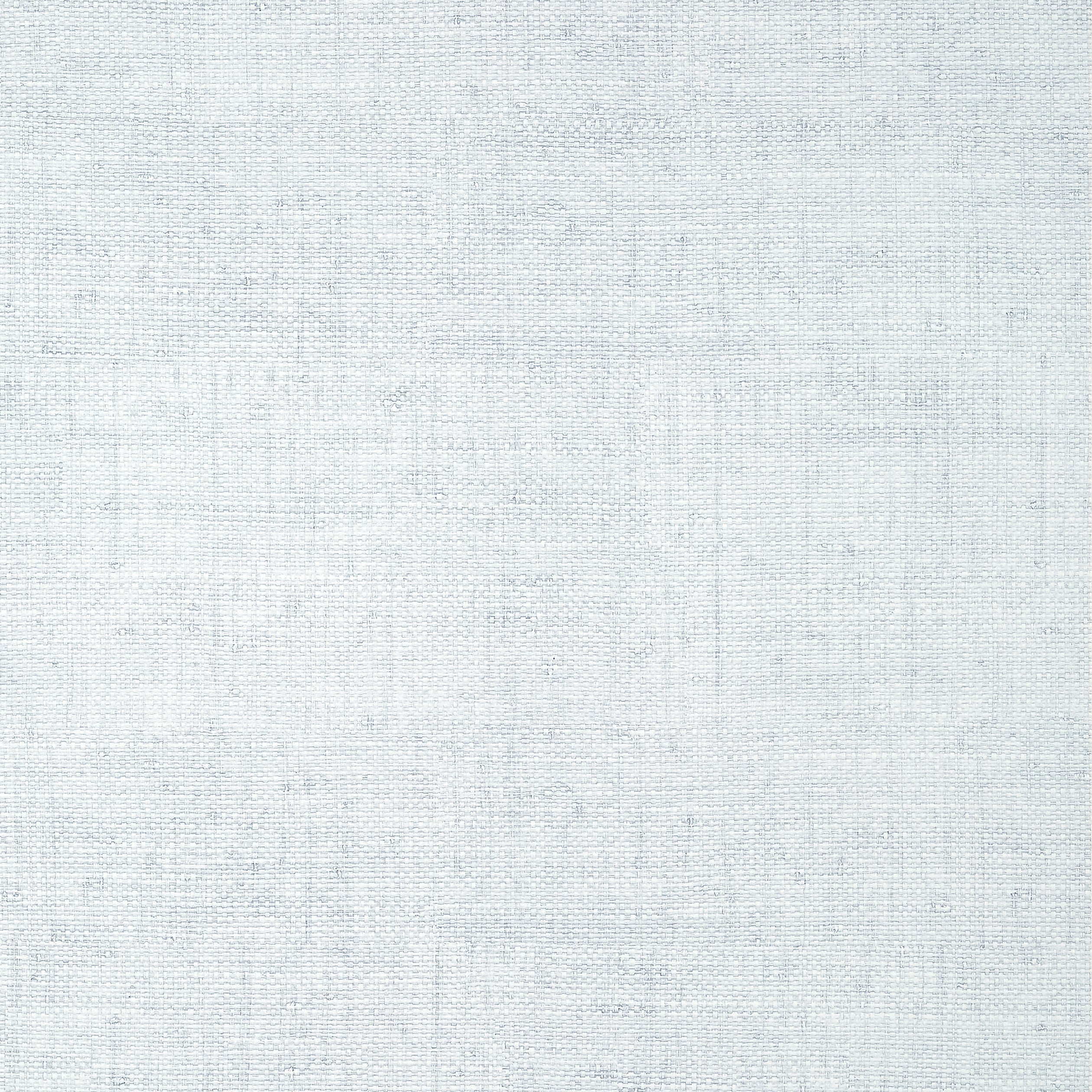 Bankun Raffia wallpaper in ice color - pattern number T14517 - by Thibaut in the Texture Resource Volume 8 collection