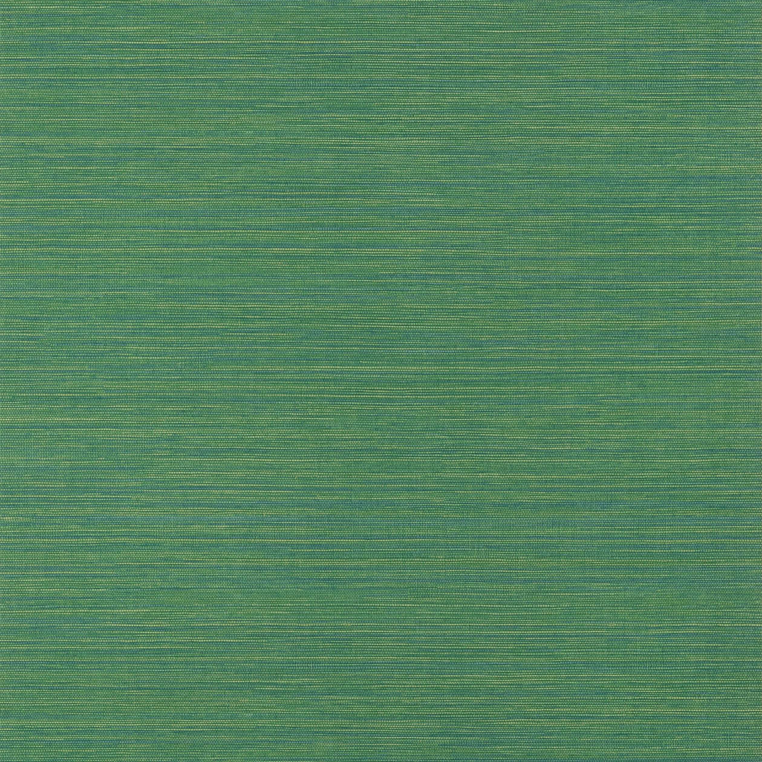 Luta Sisal wallpaper in emerald color - pattern number T14534 - by Thibaut in the Texture Resource Volume 8 collection