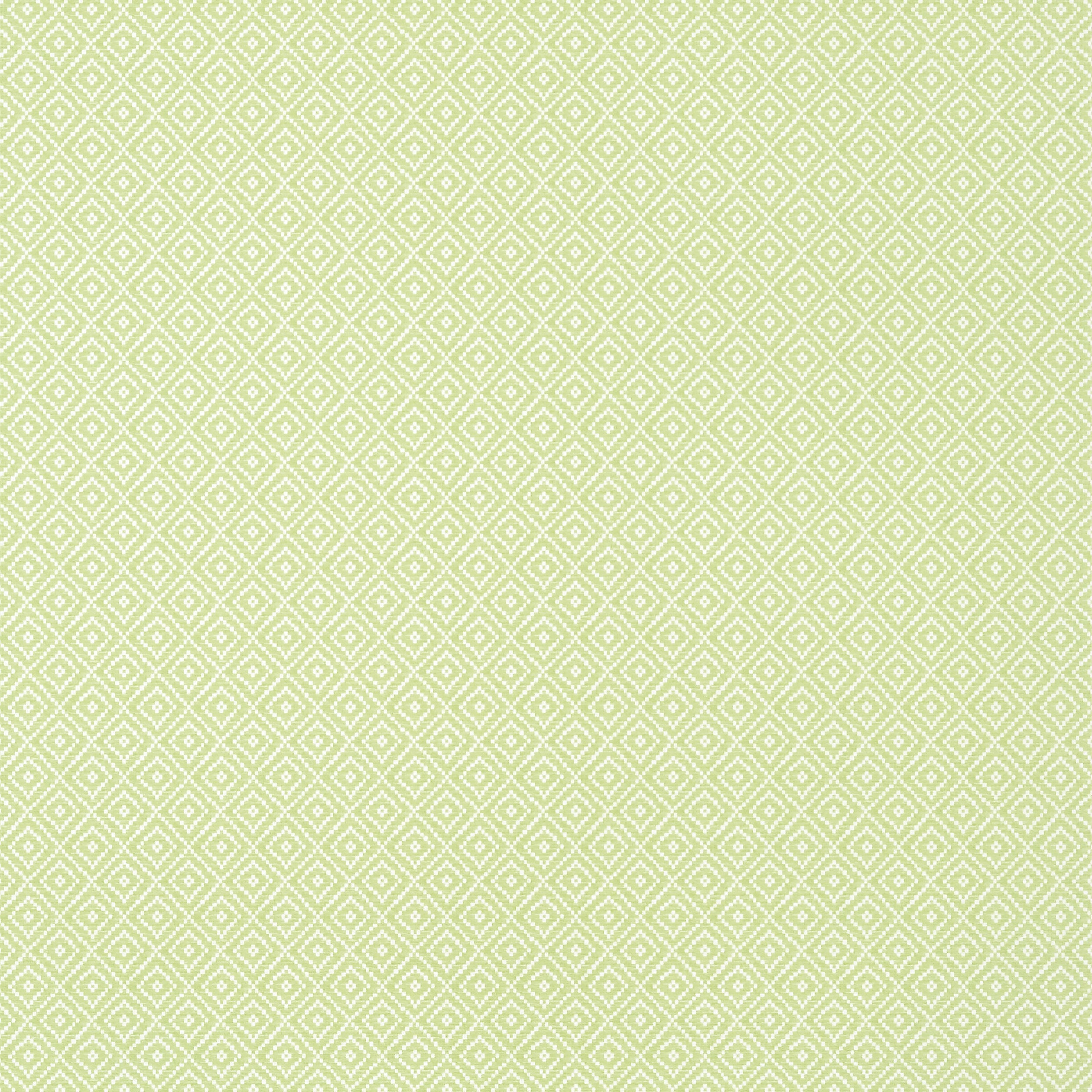Rimba wallpaper in spring color - pattern number T14543 - by Thibaut in the Texture Resource Volume 8 collection