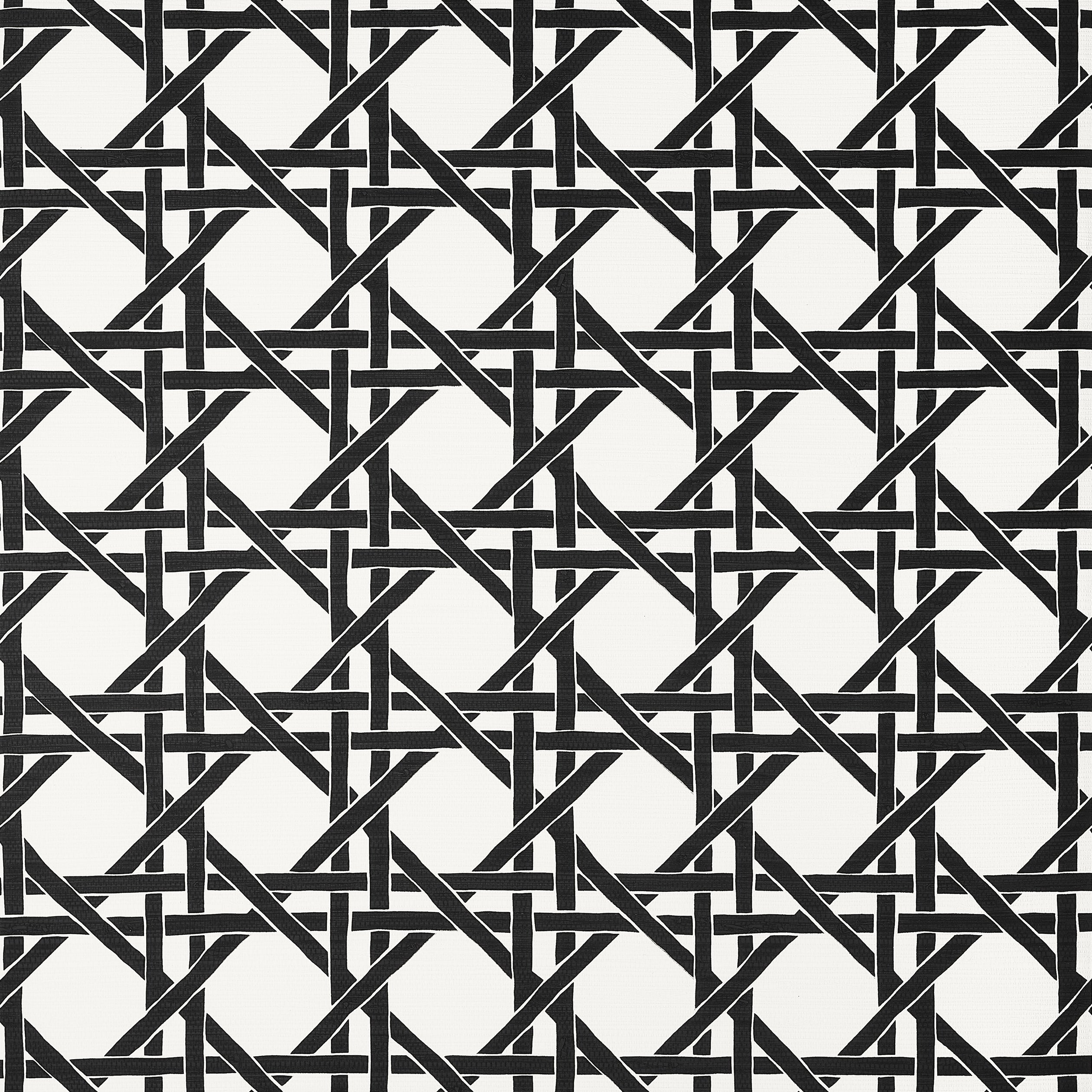 Canary Trellis fabric in black color - pattern number T15816 - by Thibaut in the Islander collection