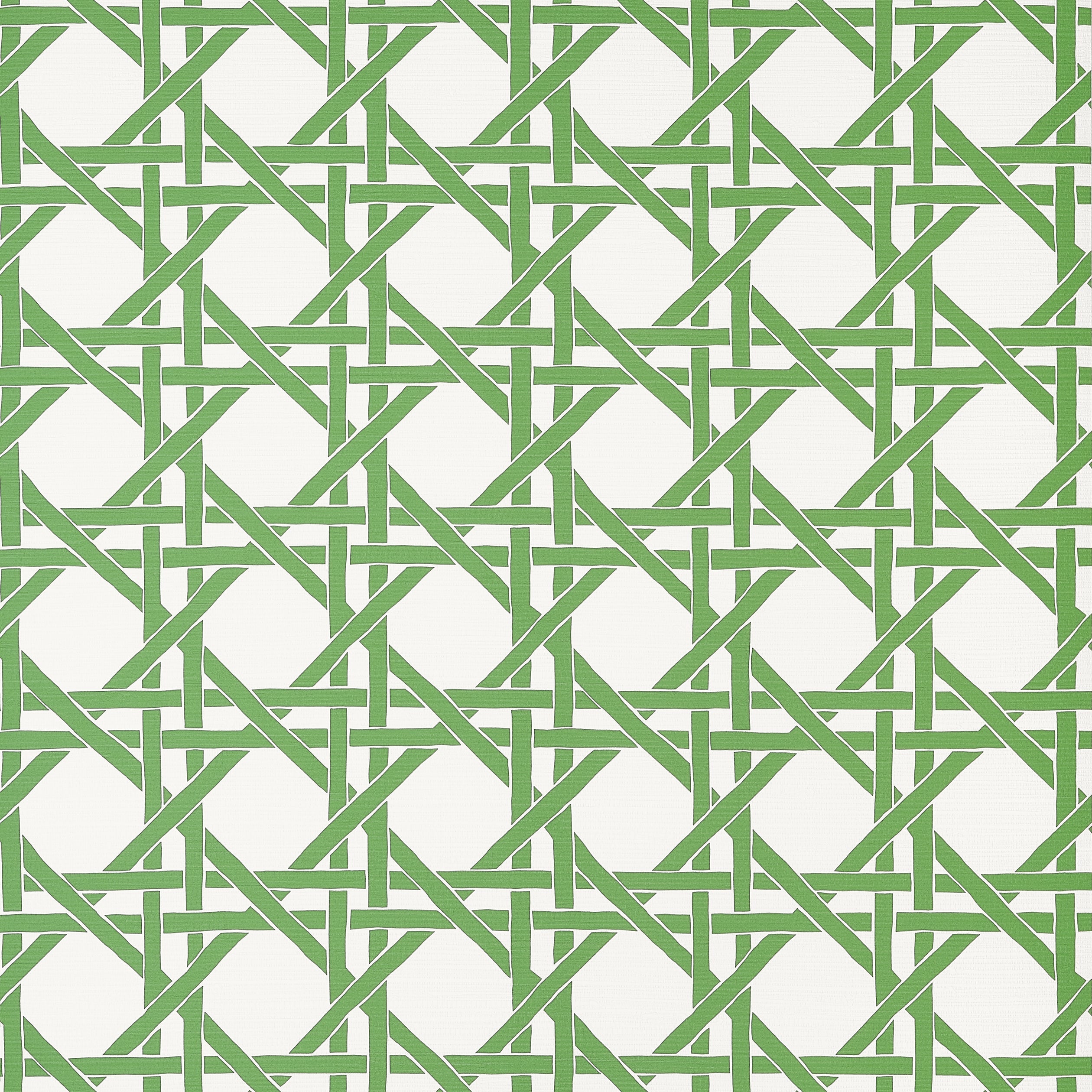 Canary Trellis fabric in green color - pattern number T15819 - by Thibaut in the Islander collection