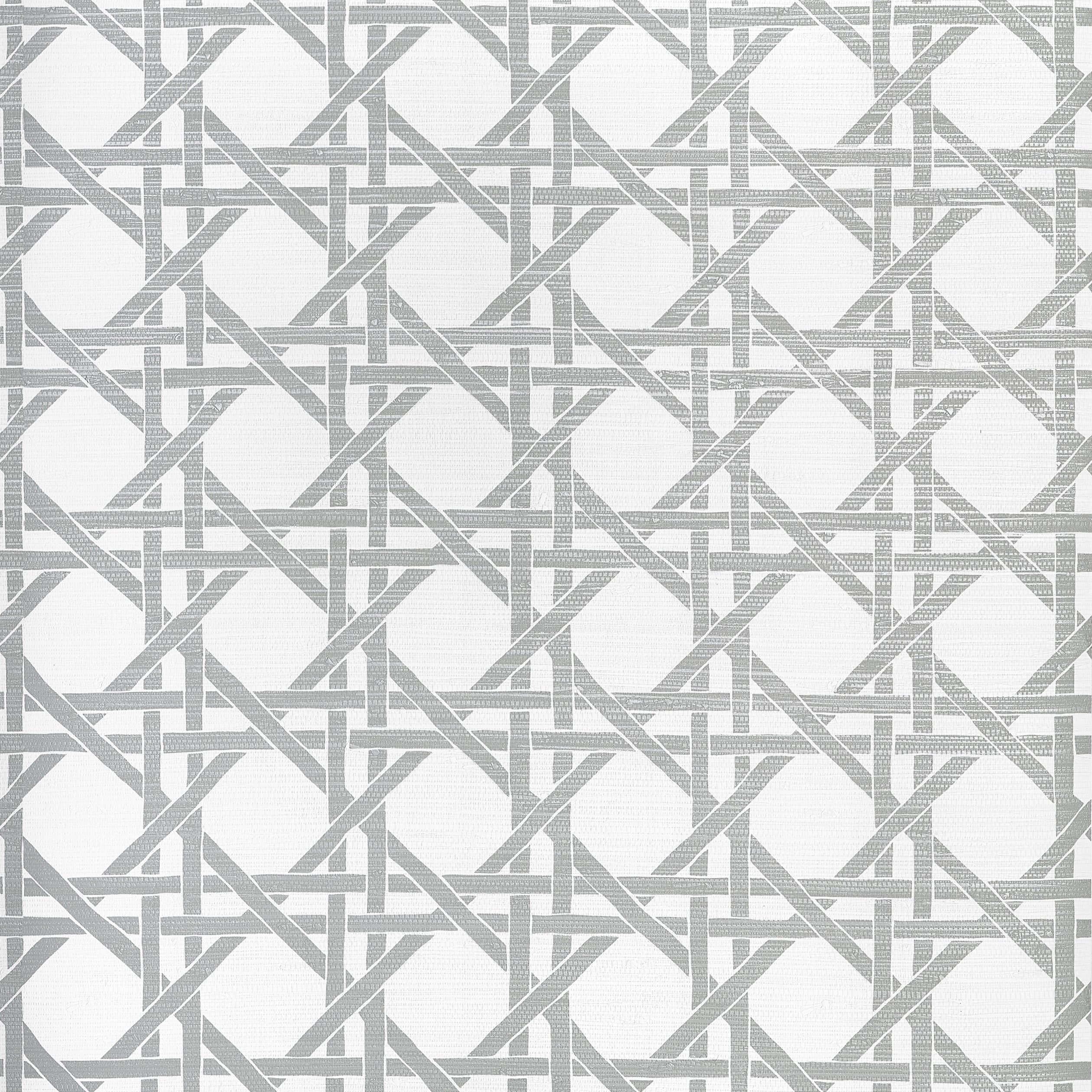 Canary Trellis fabric in metallic silver color - pattern number T15822 - by Thibaut in the Islander collection