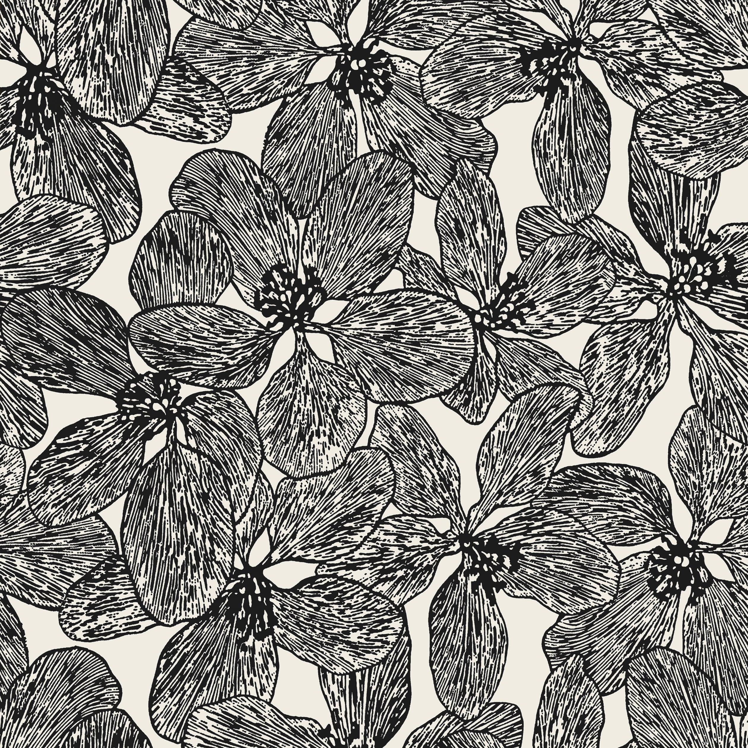 Island Orchid wallpaper in black and white color - pattern number T15848 - by Thibaut in the Islander collection