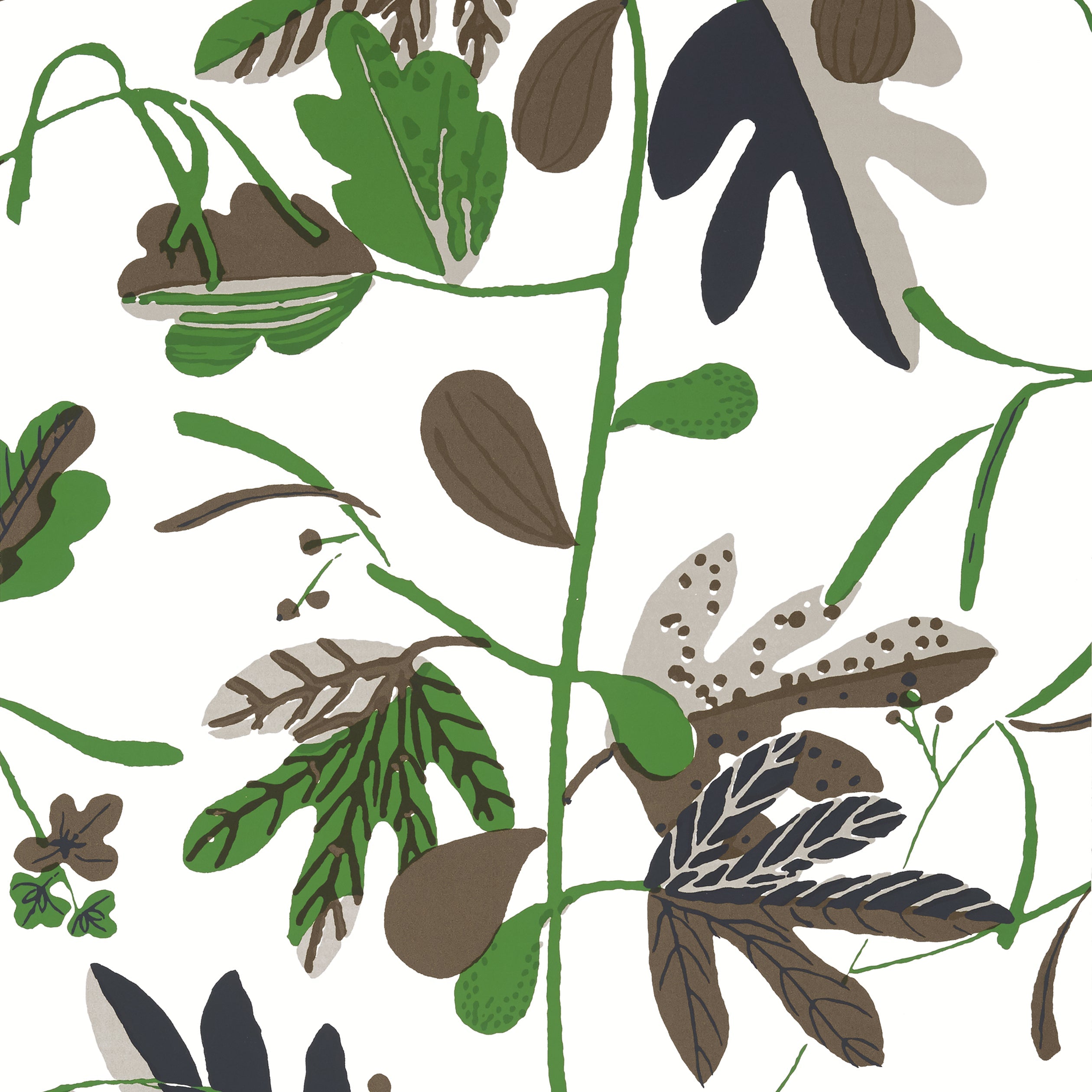 Matisse Leaf fabric in black and green color - pattern number T16208 - by Thibaut in the Kismet by Thibaut collection