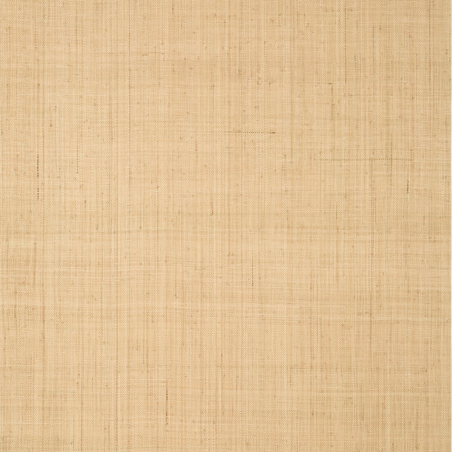 Bethany Raffia fabric in natural color - pattern number T19600 - by Thibaut in the Grasscloth Resource Volume 6 collection