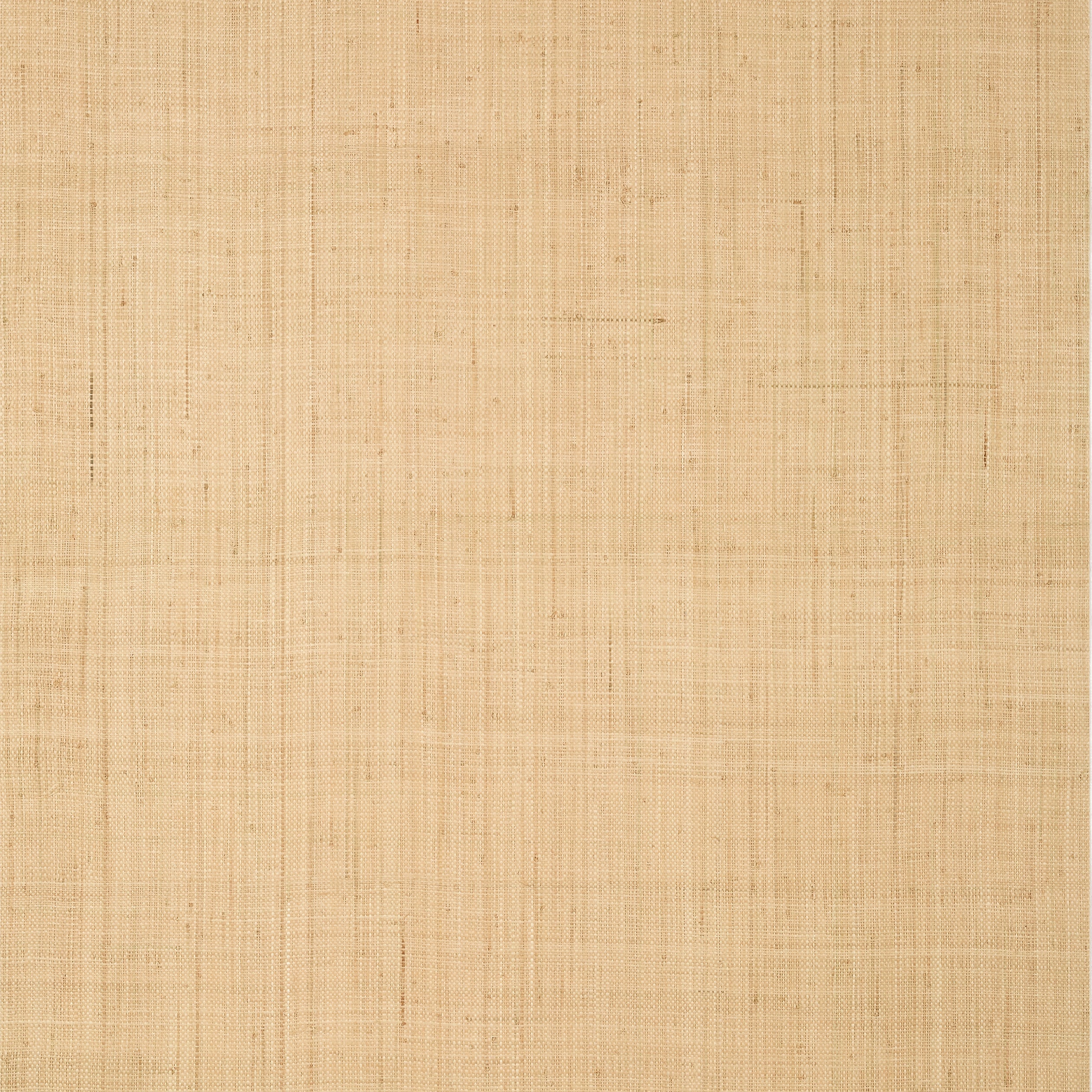 Bethany Raffia fabric in natural color - pattern number T19600 - by Thibaut in the Grasscloth Resource Volume 6 collection