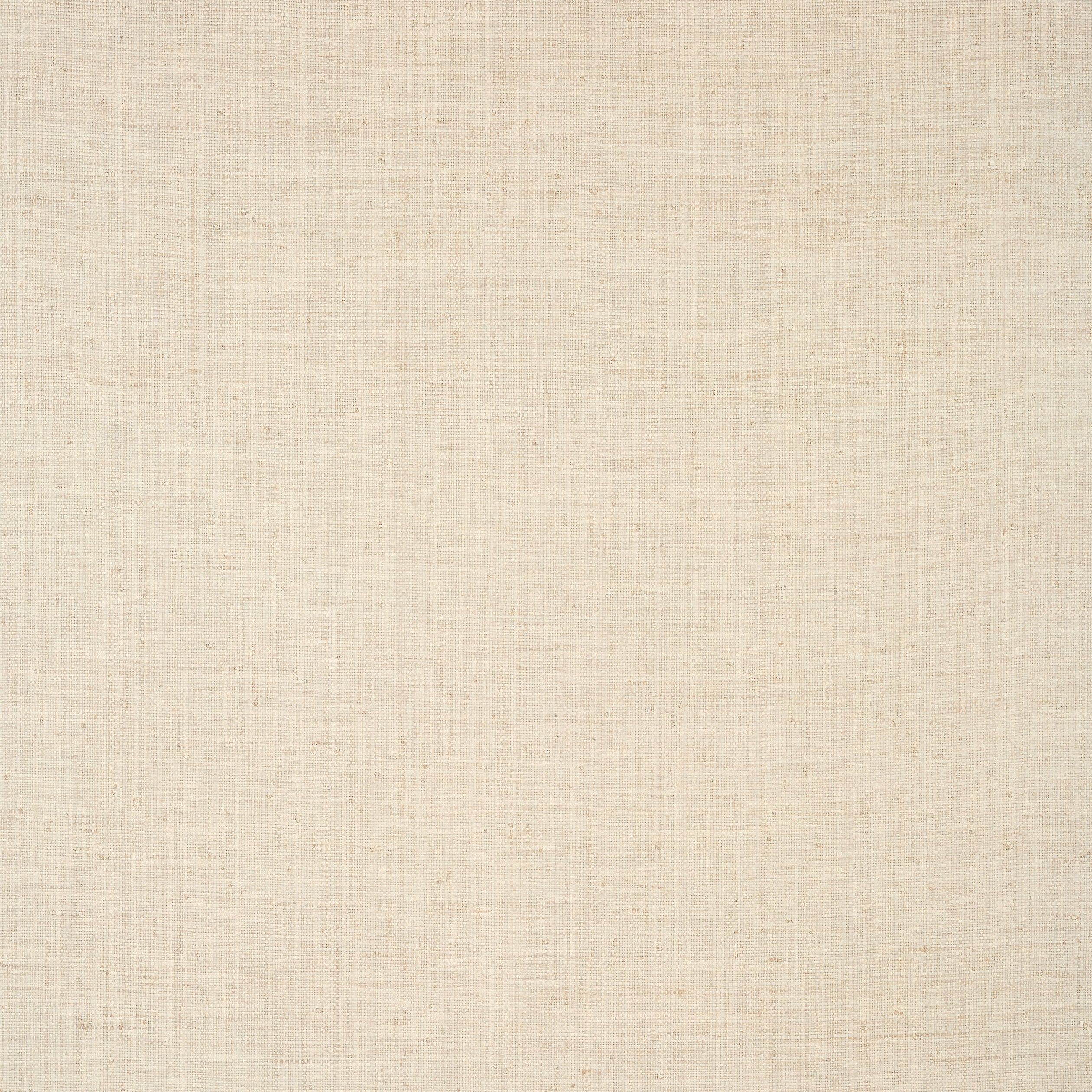 Bethany Raffia fabric in off white color - pattern number T19602 - by Thibaut in the Grasscloth Resource Volume 6 collection