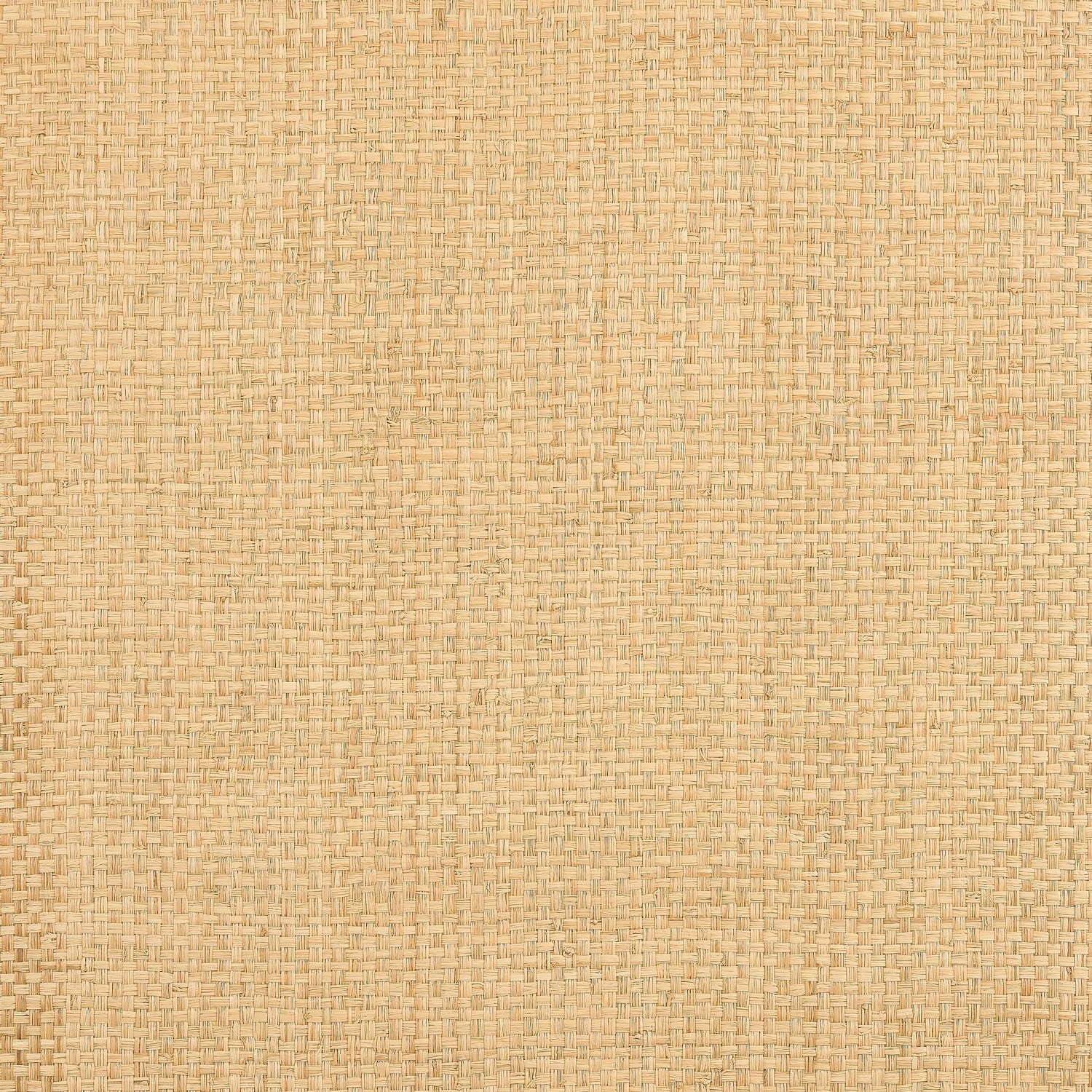 Lauderdale fabric in natural color - pattern number T19603 - by Thibaut in the Grasscloth Resource Volume 6 collection