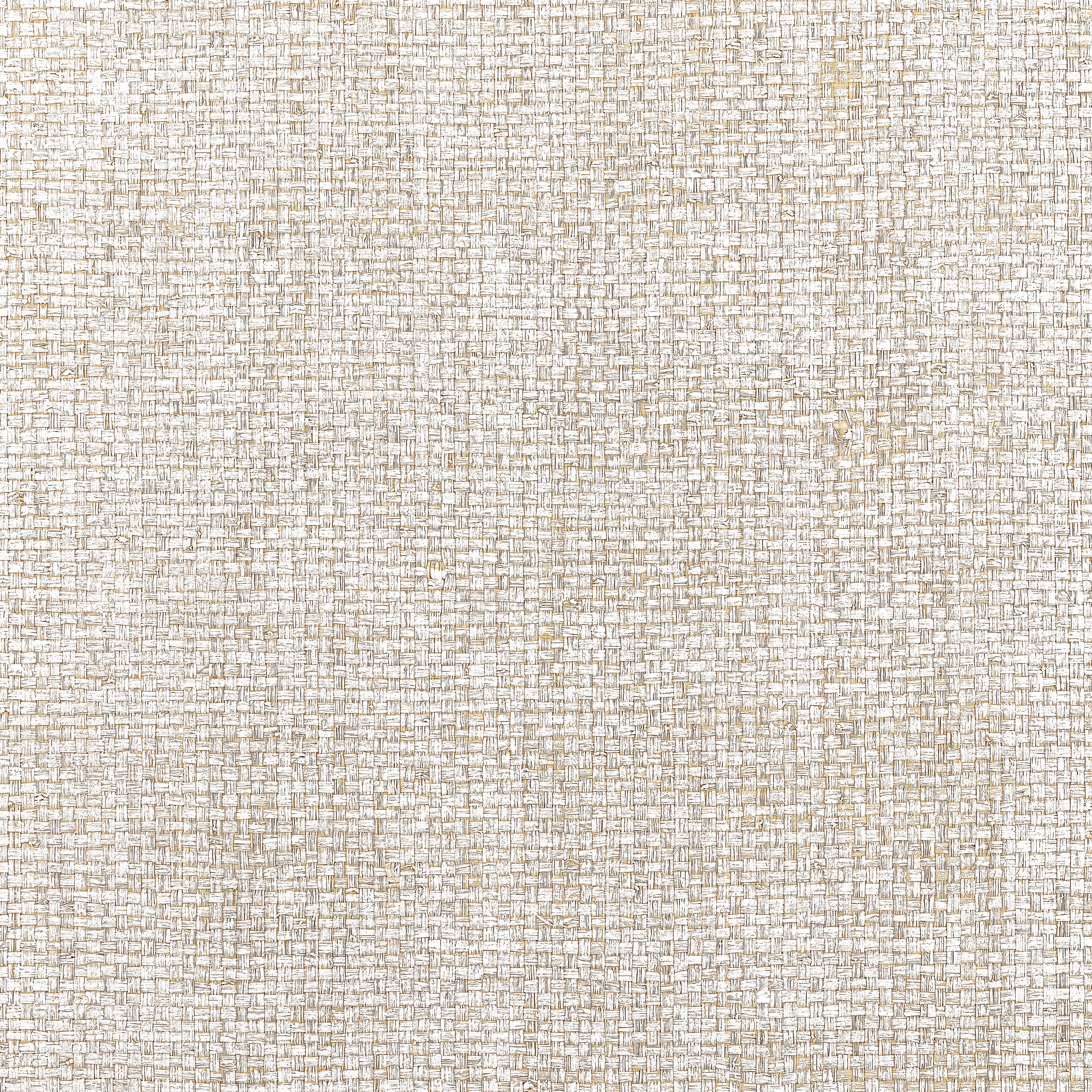 Lauderdale fabric in white color - pattern number T19604 - by Thibaut in the Grasscloth Resource Volume 6 collection