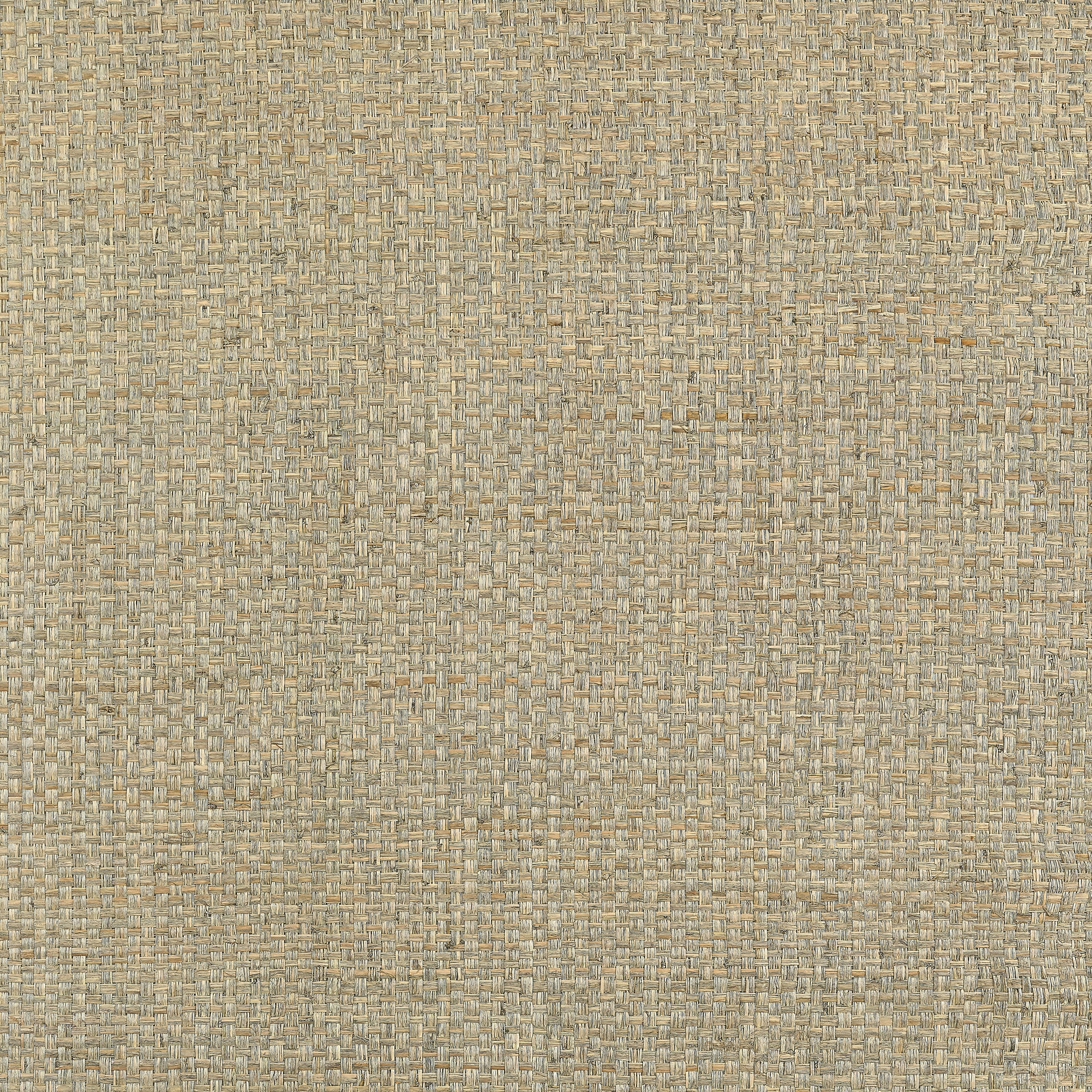 Lauderdale fabric in tea color - pattern number T19605 - by Thibaut in the Grasscloth Resource Volume 6 collection