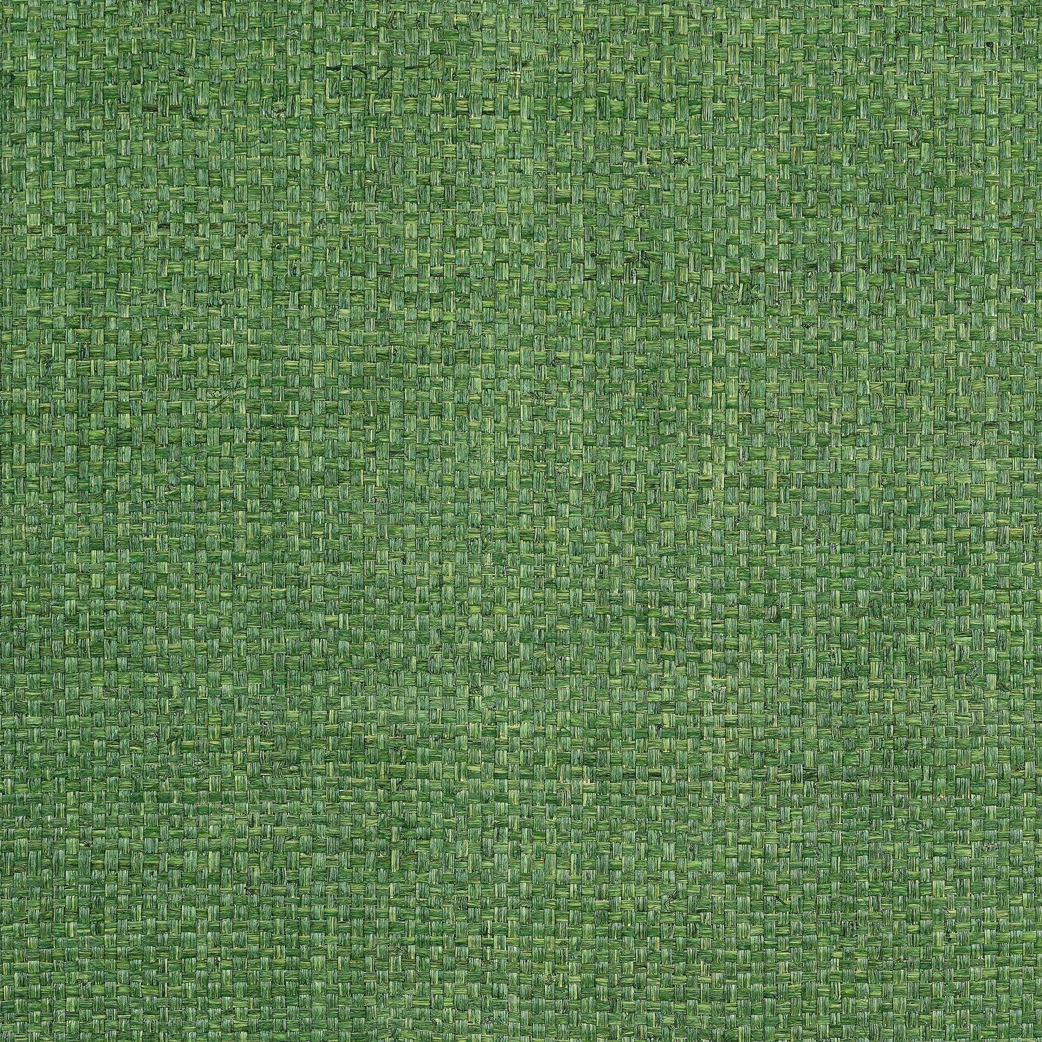 Lauderdale fabric in green color - pattern number T19607 - by Thibaut in the Grasscloth Resource Volume 6 collection
