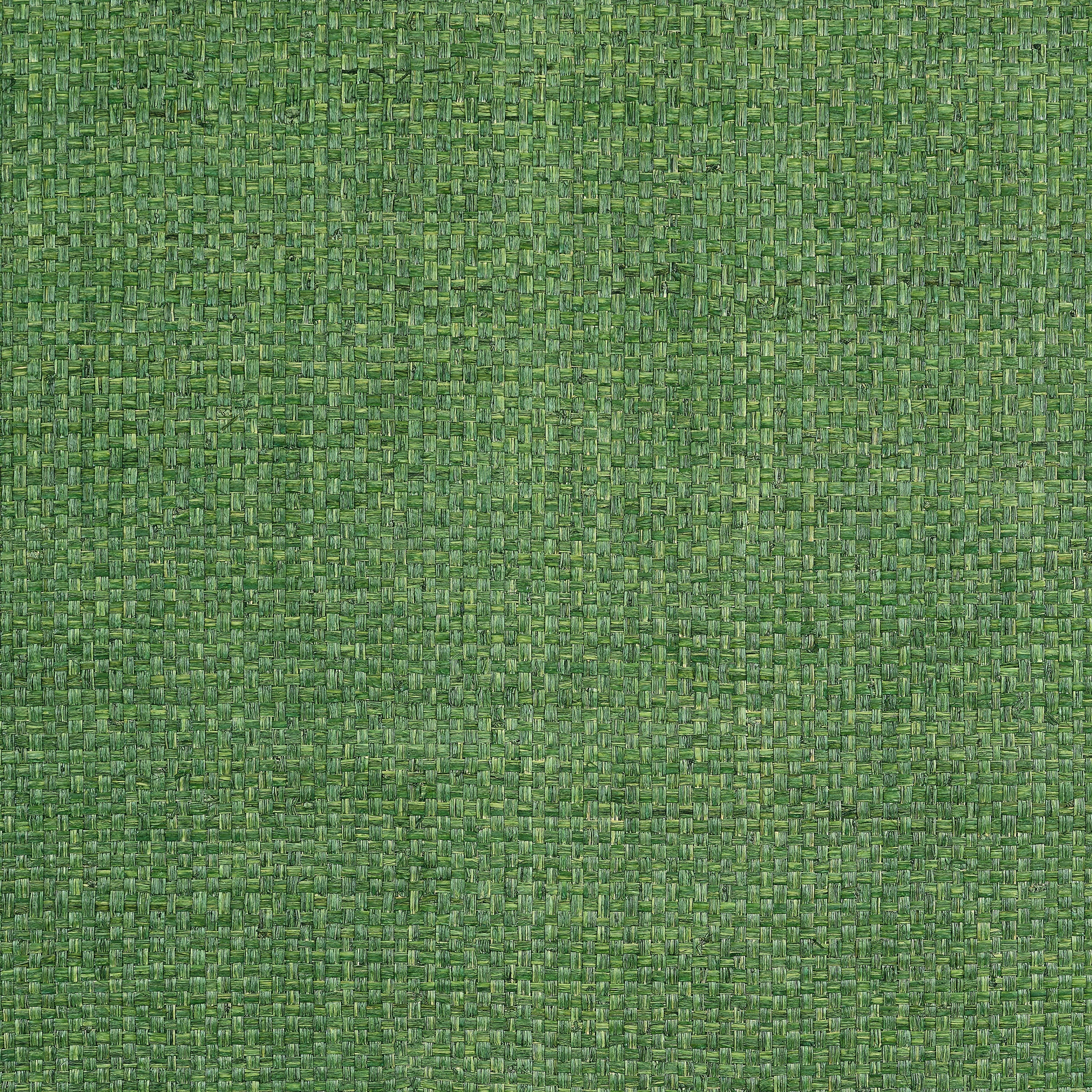 Lauderdale fabric in green color - pattern number T19607 - by Thibaut in the Grasscloth Resource Volume 6 collection