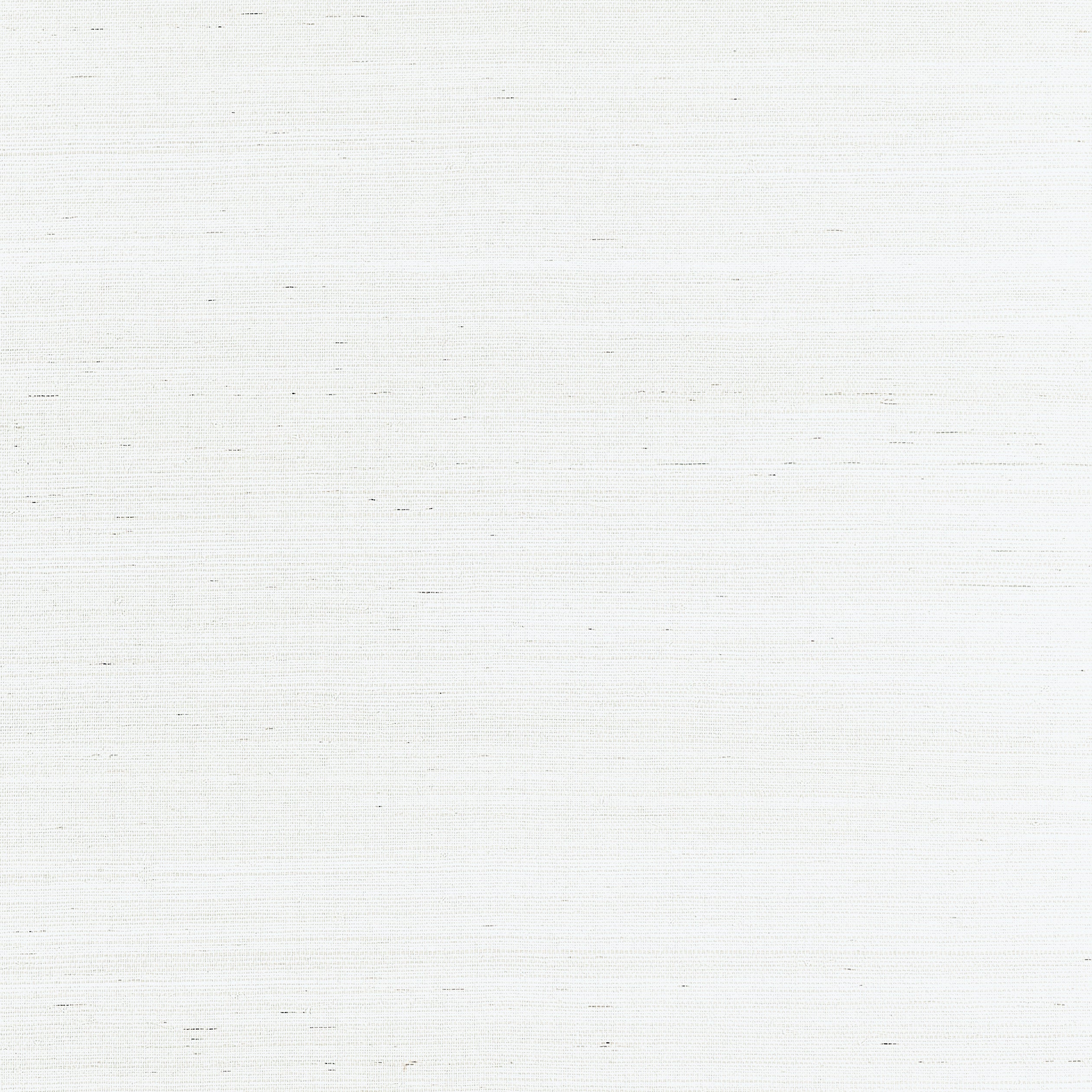 Shang Extra Fine Sisal fabric in ice color - pattern number T19613 - by Thibaut in the Grasscloth Resource Volume 6 collection