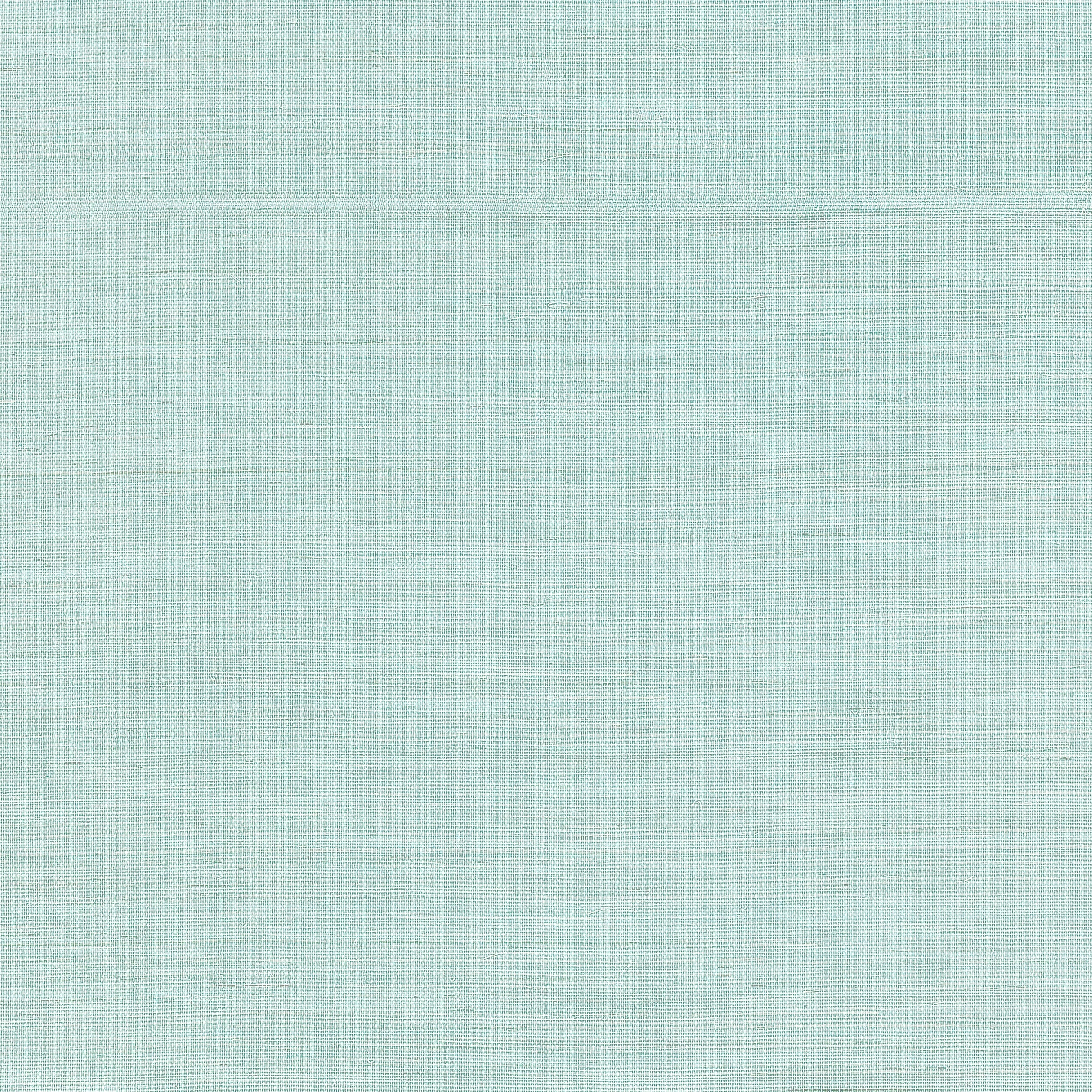 Shang Extra Fine Sisal fabric in seaglass color - pattern number T19615 - by Thibaut in the Grasscloth Resource Volume 6 collection