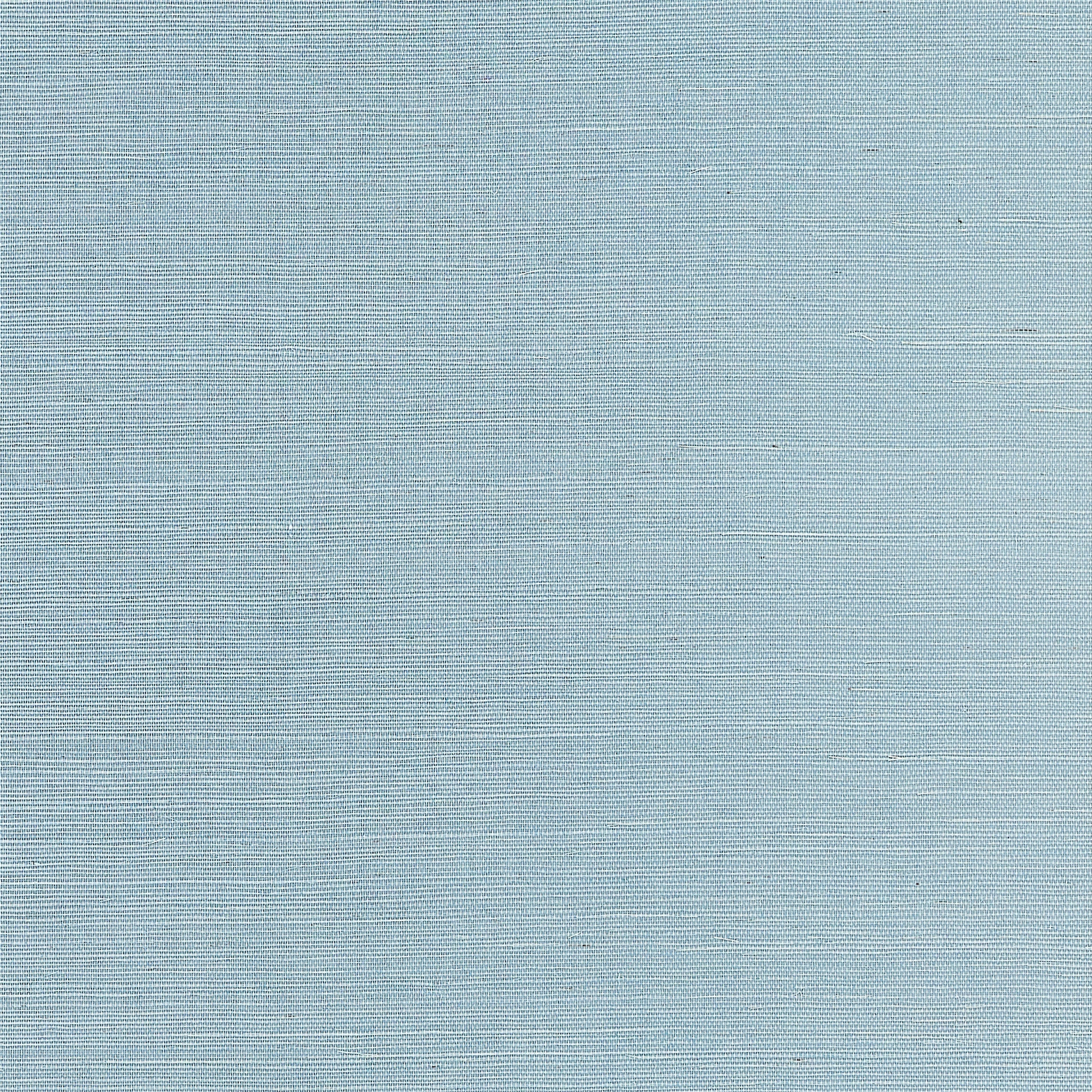 Shang Extra Fine Sisal fabric in seawater color - pattern number T19616 - by Thibaut in the Grasscloth Resource Volume 6 collection