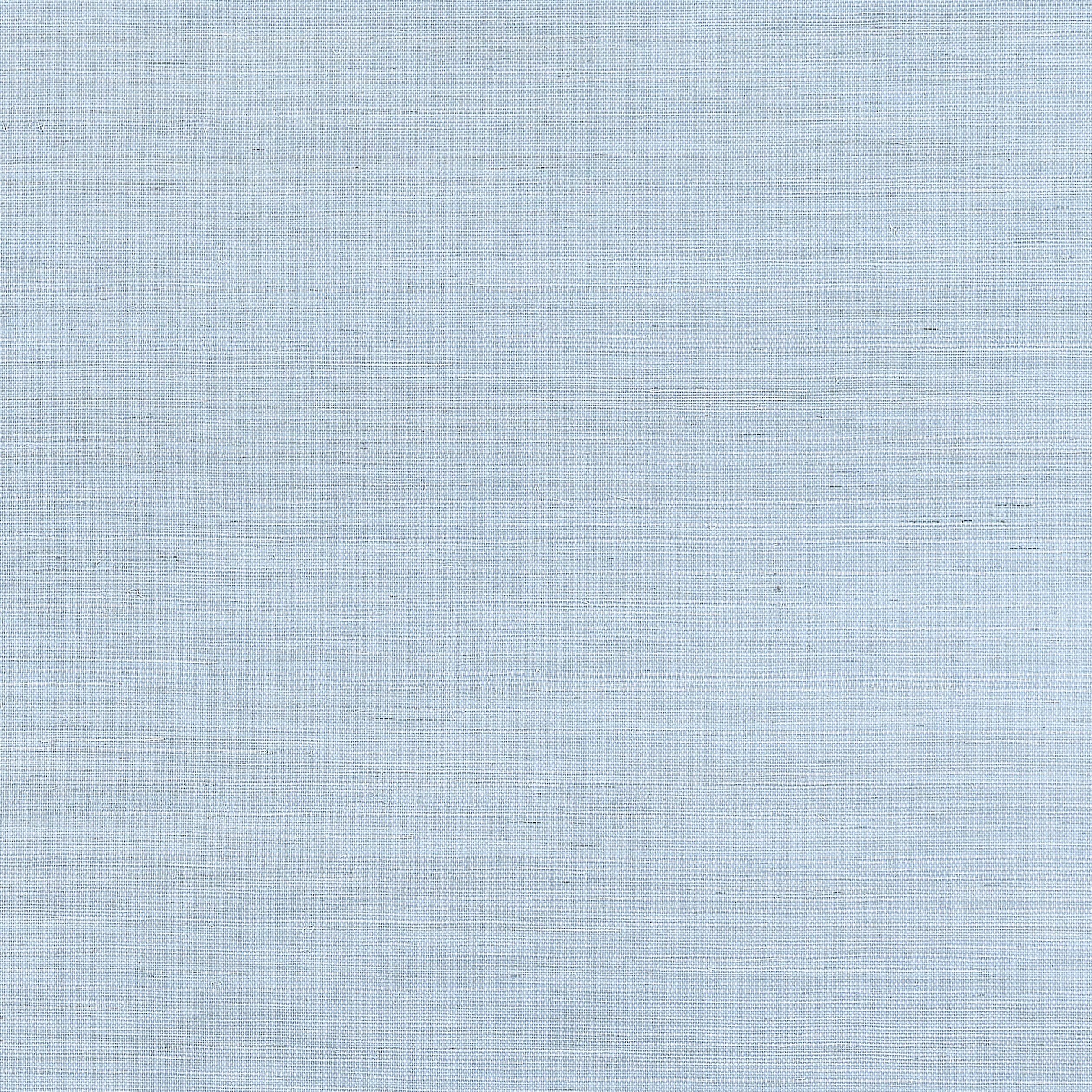 Shang Extra Fine Sisal fabric in bahama color - pattern number T19620 - by Thibaut in the Grasscloth Resource Volume 6 collection