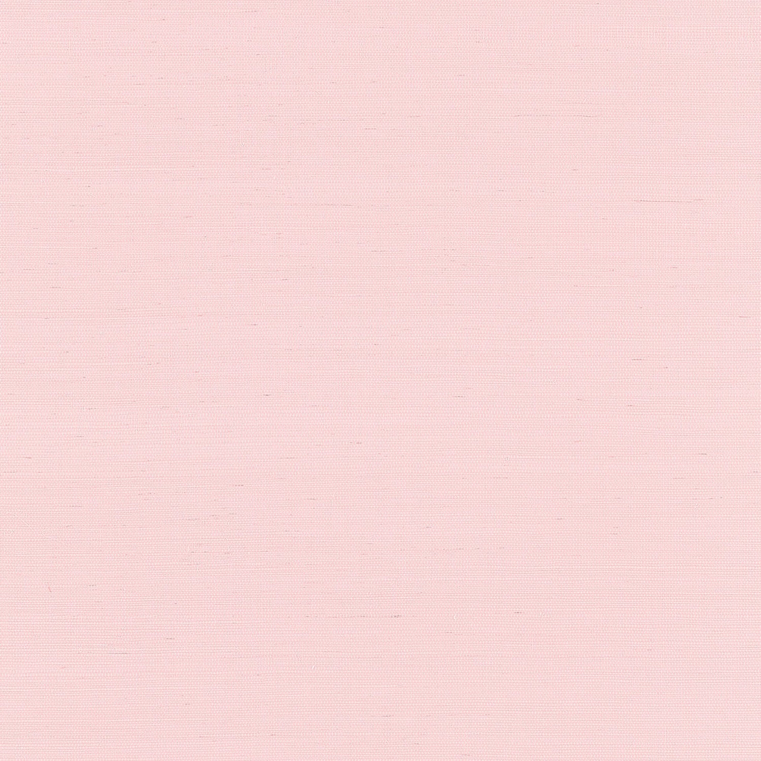 Shang Extra Fine Sisal fabric in shell color - pattern number T19626 - by Thibaut in the Grasscloth Resource Volume 6 collection