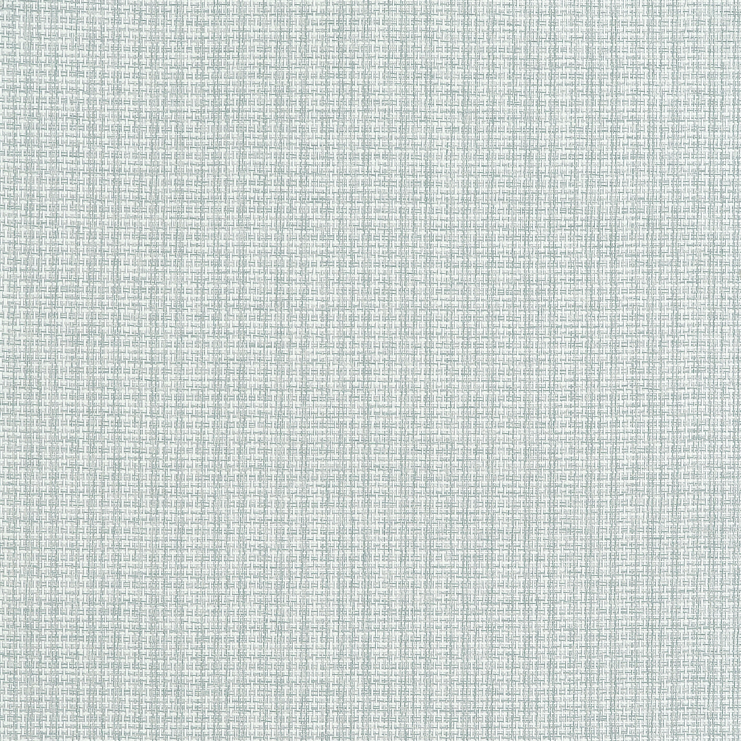 Coastline wallpaper in seamist color - pattern number T19633 - by Thibaut in the Grasscloth Resource Volume 6 collection