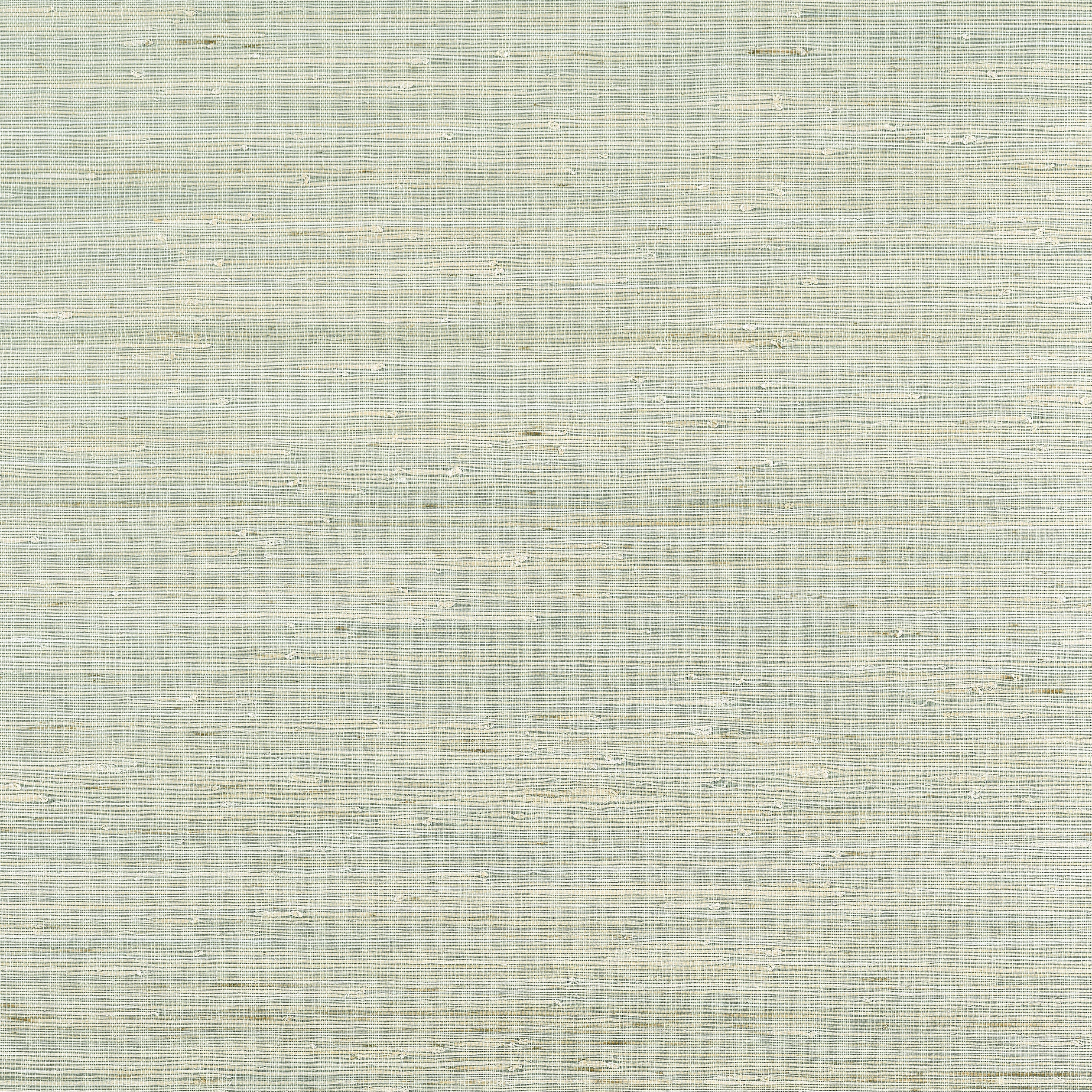 Sydney wallpaper in light spruce color - pattern number T19656 - by Thibaut in the Grasscloth Resource Volume 6 collection