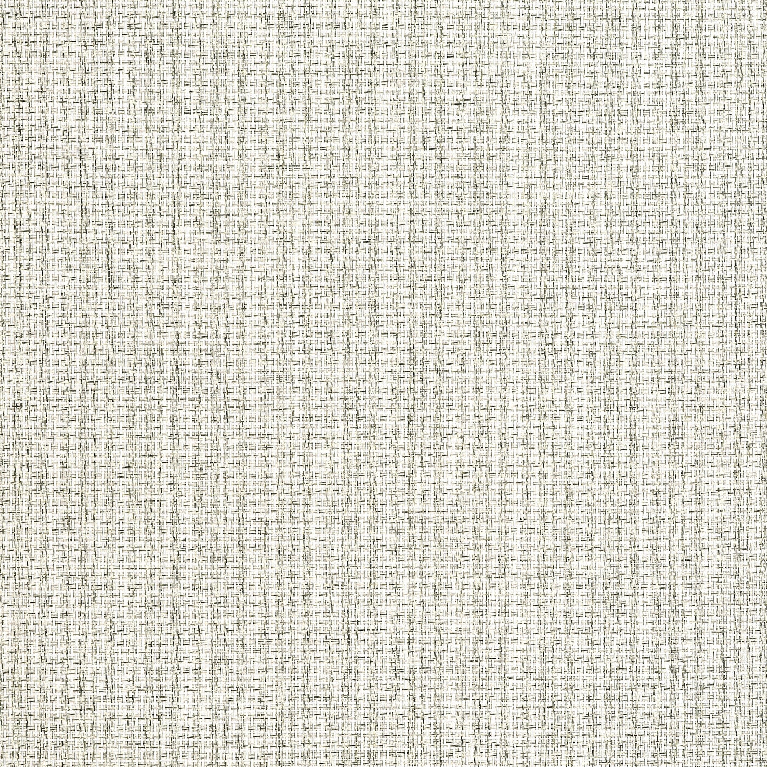 Coastline wallpaper in light moss color - pattern number T19661 - by Thibaut in the Grasscloth Resource Volume 6 collection
