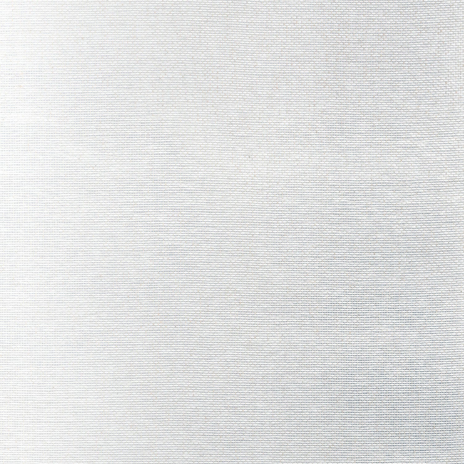 Edwards Paper fabric in metallic silver color - pattern number T19698 - by Thibaut in the Grasscloth Resource Volume 6 collection