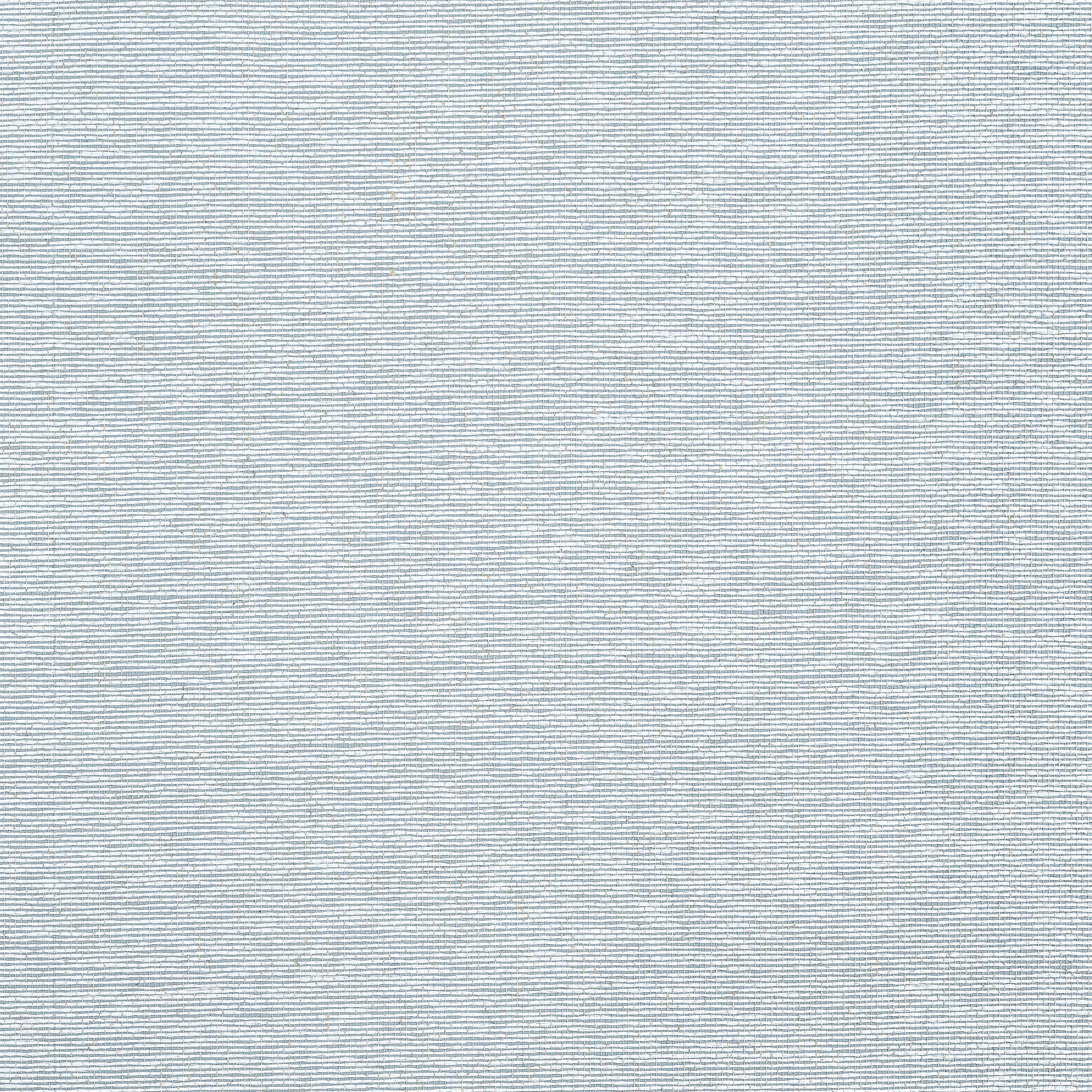 Edwards Paper fabric in robins egg color - pattern number T19699 - by Thibaut in the Grasscloth Resource Volume 6 collection