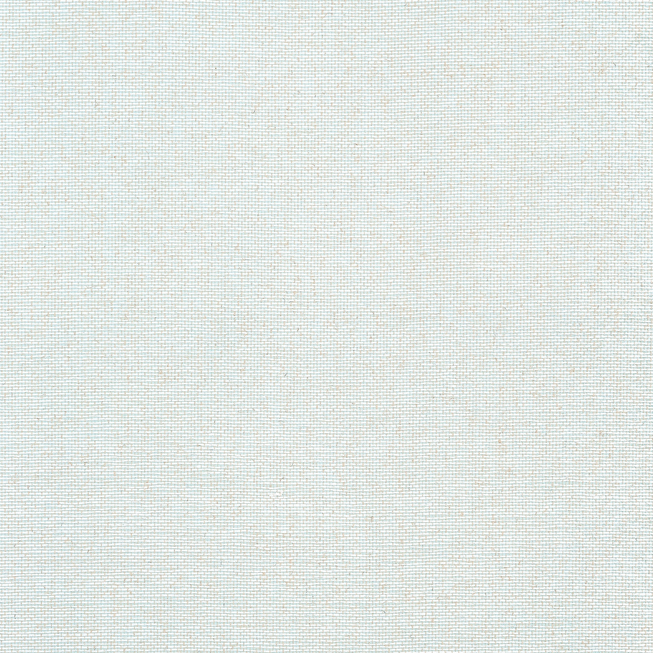 Edwards Paper fabric in seaglass color - pattern number T19700 - by Thibaut in the Grasscloth Resource Volume 6 collection