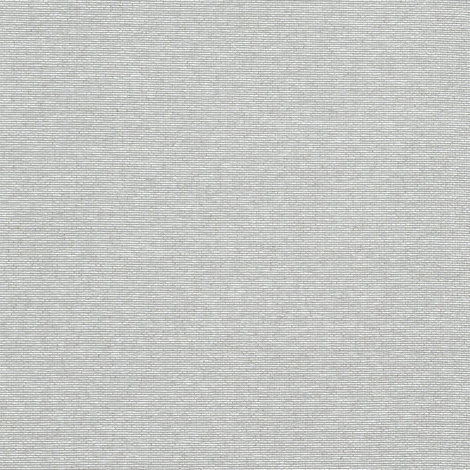 Edwards Paper fabric in grey color - pattern number T19701 - by Thibaut in the Grasscloth Resource Volume 6 collection