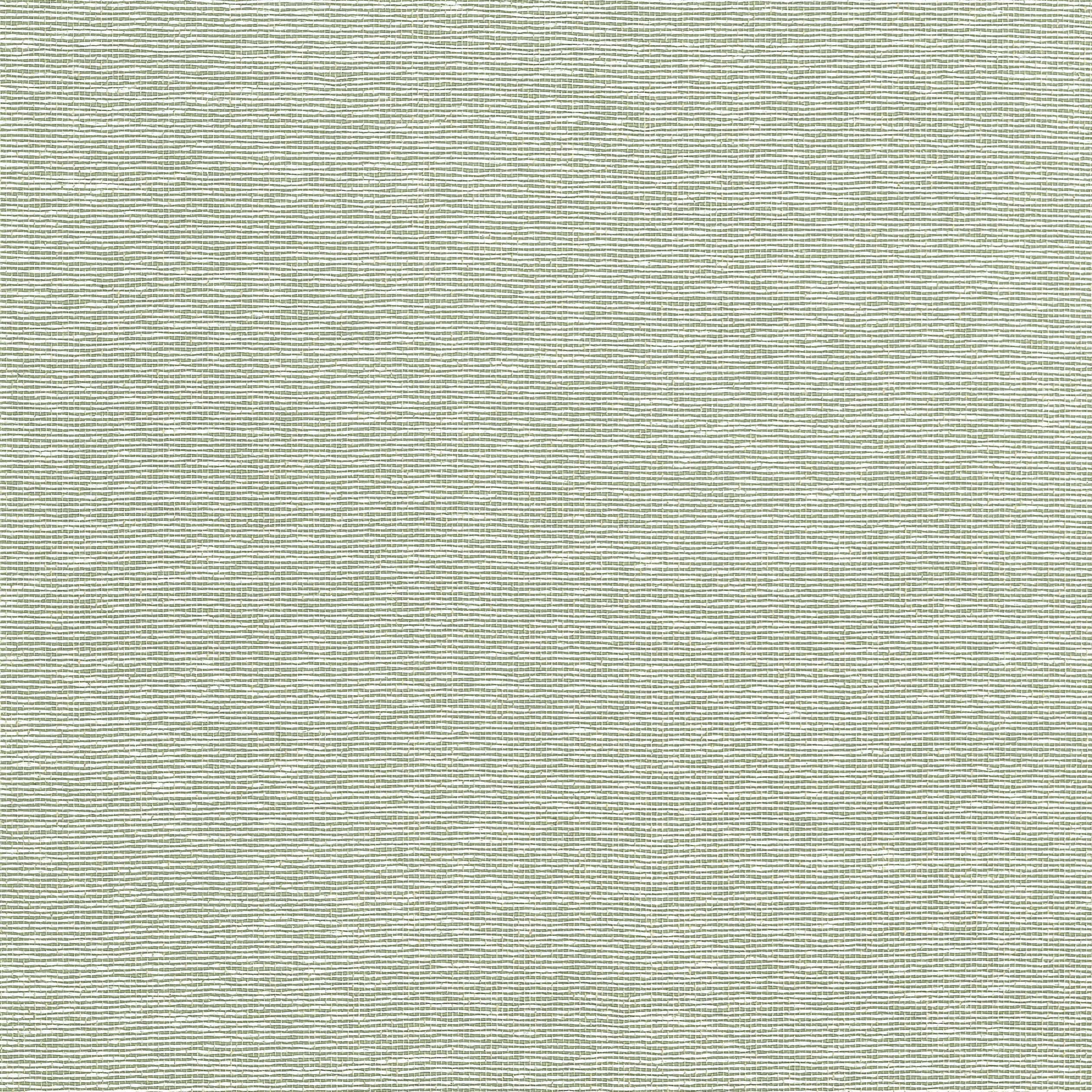 Edwards Paper fabric in green color - pattern number T19703 - by Thibaut in the Grasscloth Resource Volume 6 collection