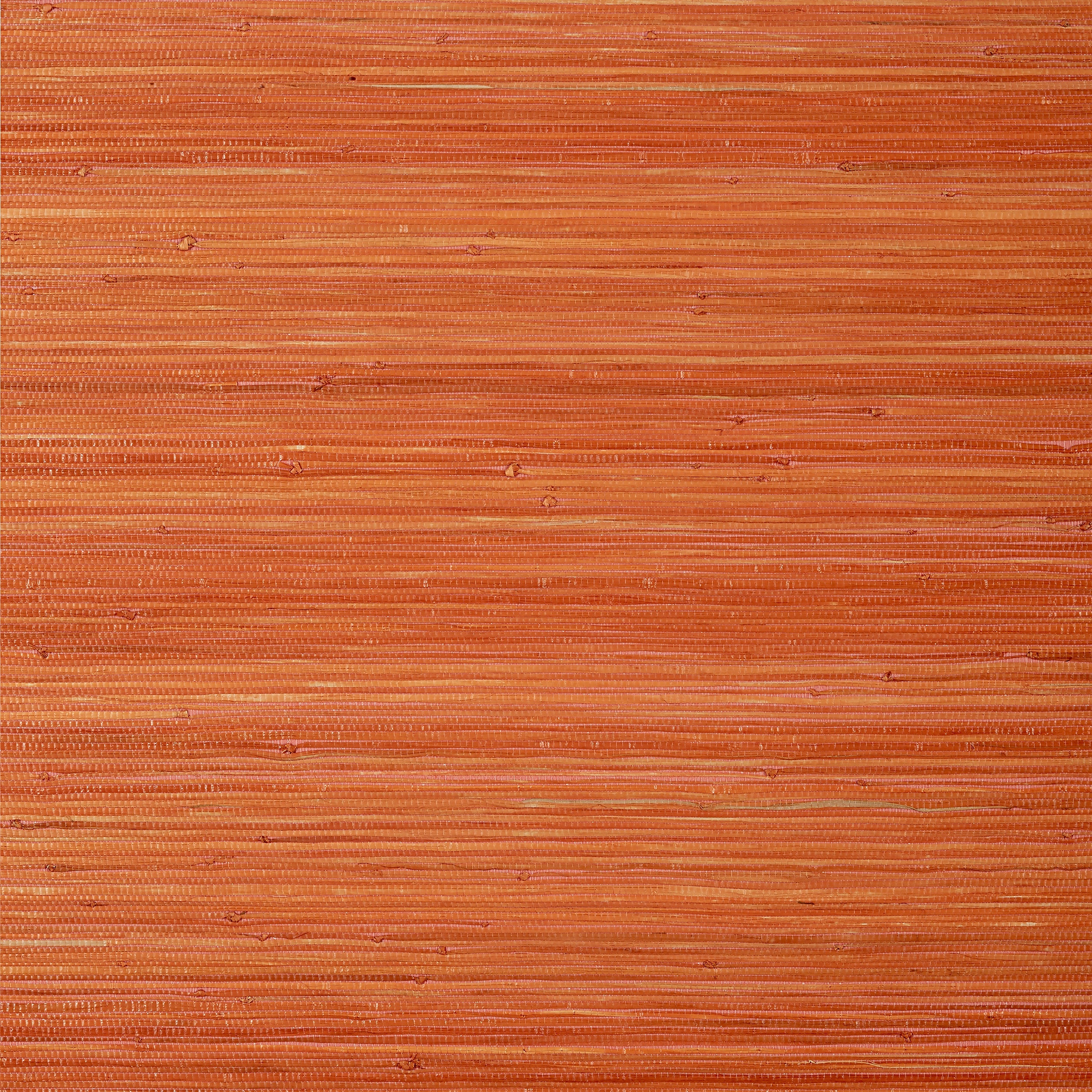 Raffia Palm wallpaper in orange color - pattern number T24072 - by Thibaut in the Grasscloth Resource Volume 5 collection