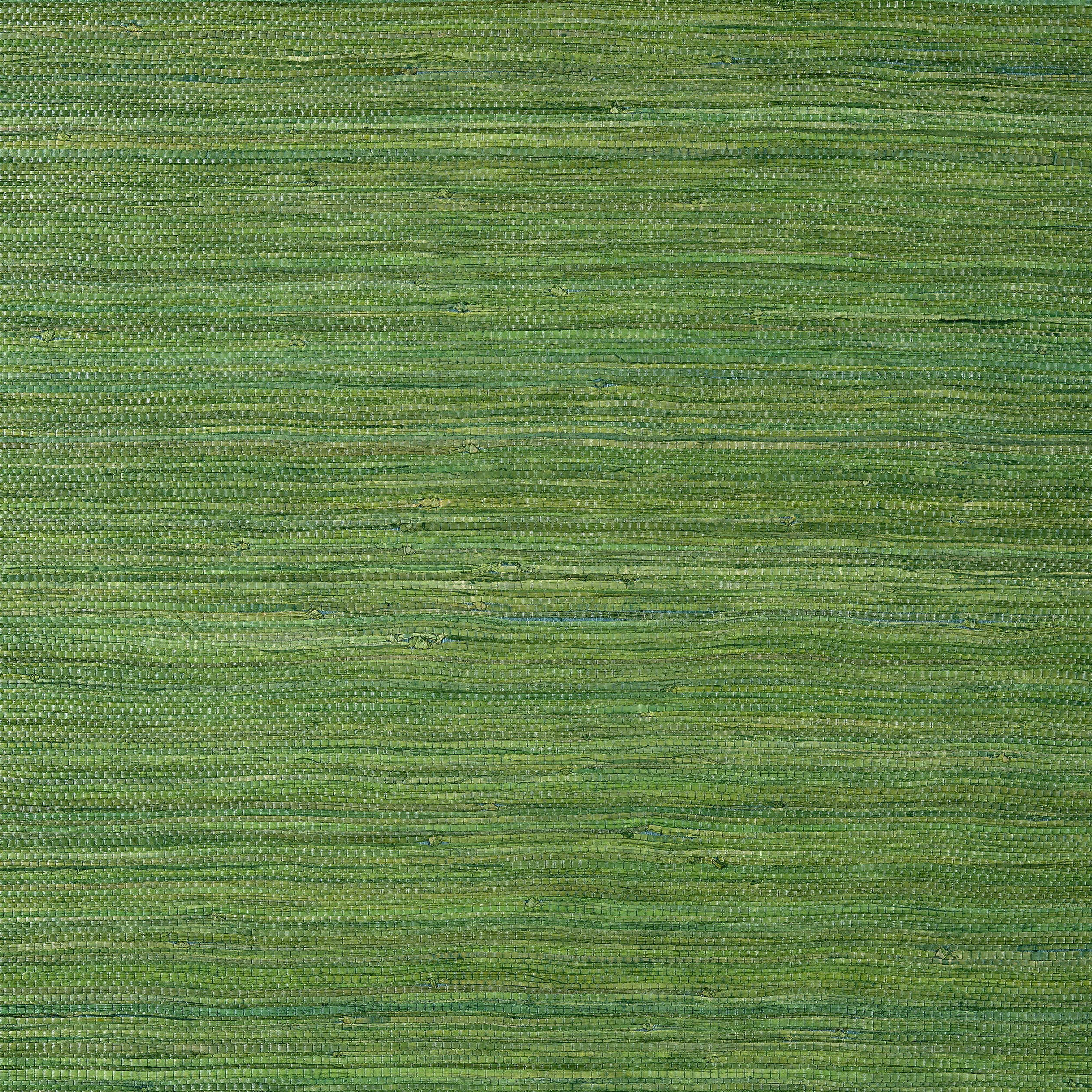 Raffia Palm wallpaper in emerald green color - pattern number T24074 - by Thibaut in the Grasscloth Resource Volume 5 collection