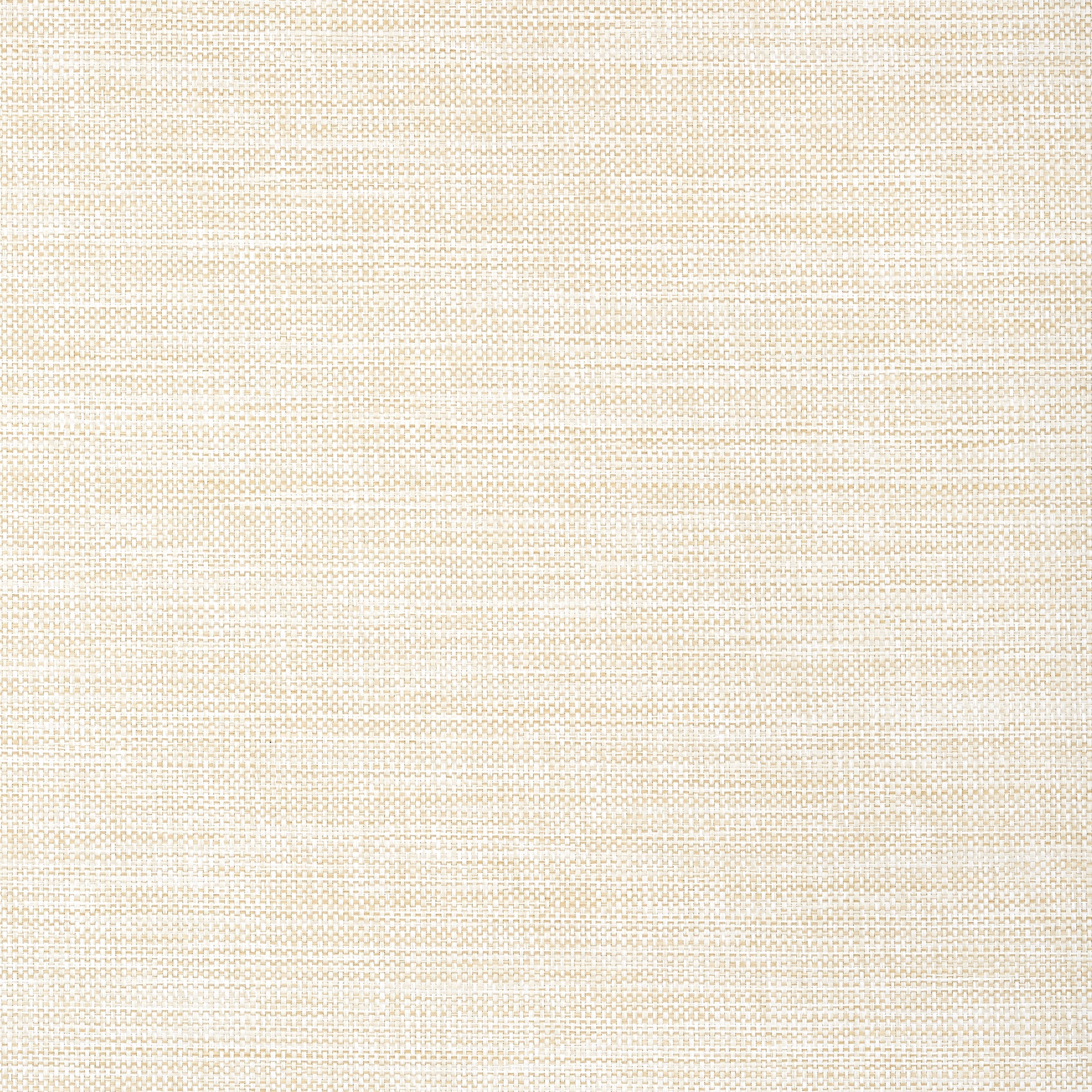 Calistoga wallpaper in pebbles color - pattern number T24116 - by Thibaut in the Grasscloth Resource Volume 5 collection