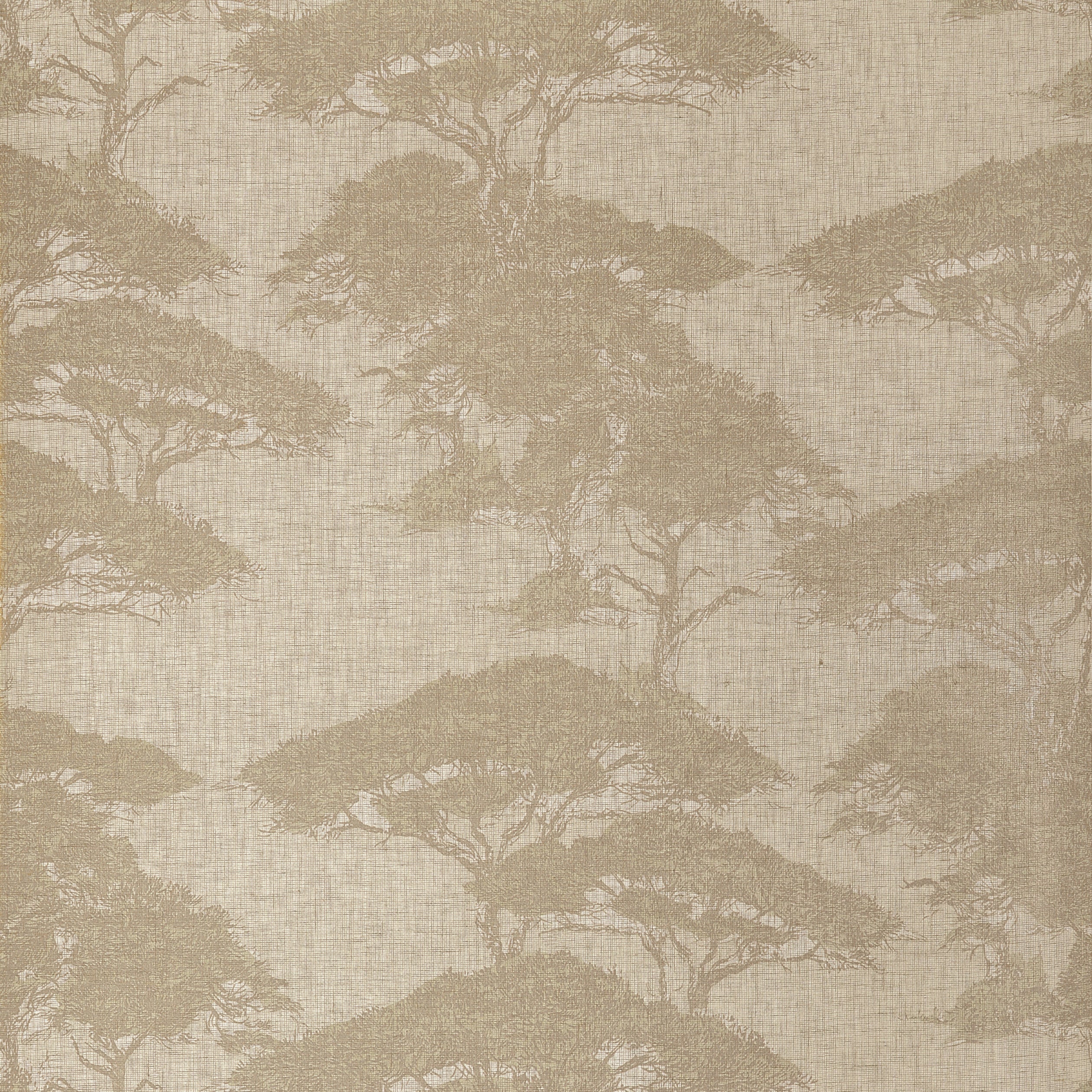 Torrey Pines wallpaper in champagne color - pattern number T24436 - by Thibaut in the Yutori collection