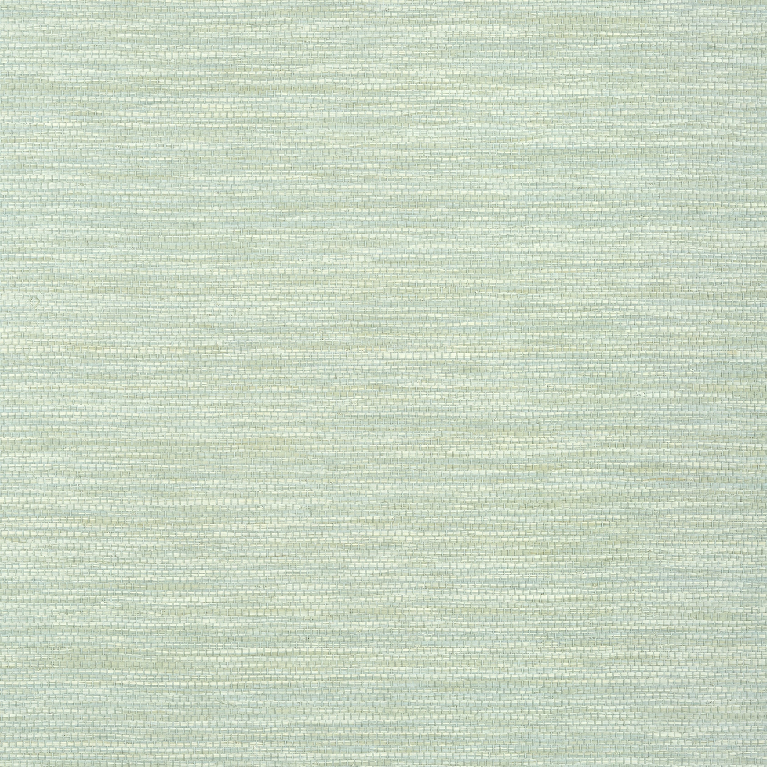 Cape May Weave fabric in sage color - pattern number T27001 - by Thibaut in the Natural Resource Volume 3 collection