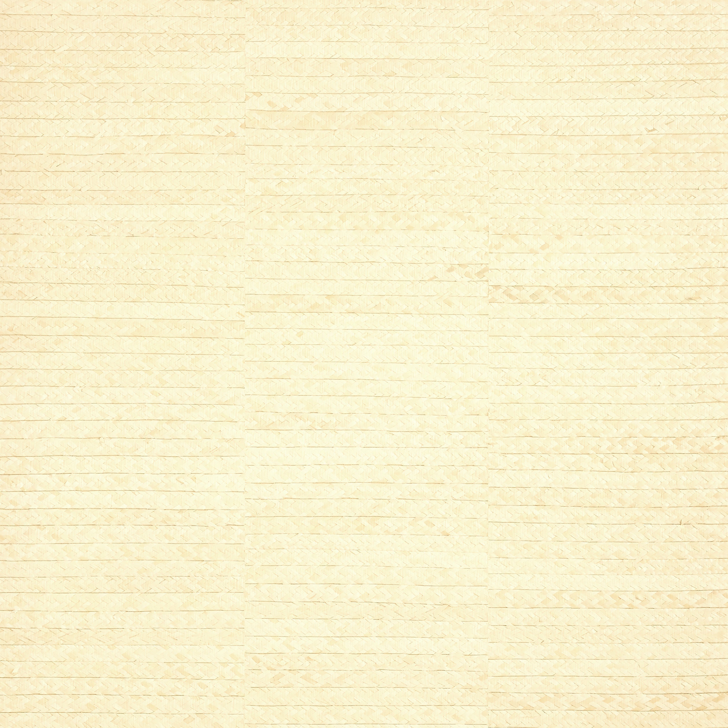 Pima Braid wallpaper in natural color - pattern number T27043 - by Thibaut in the Natural Resource Volume 3 collection