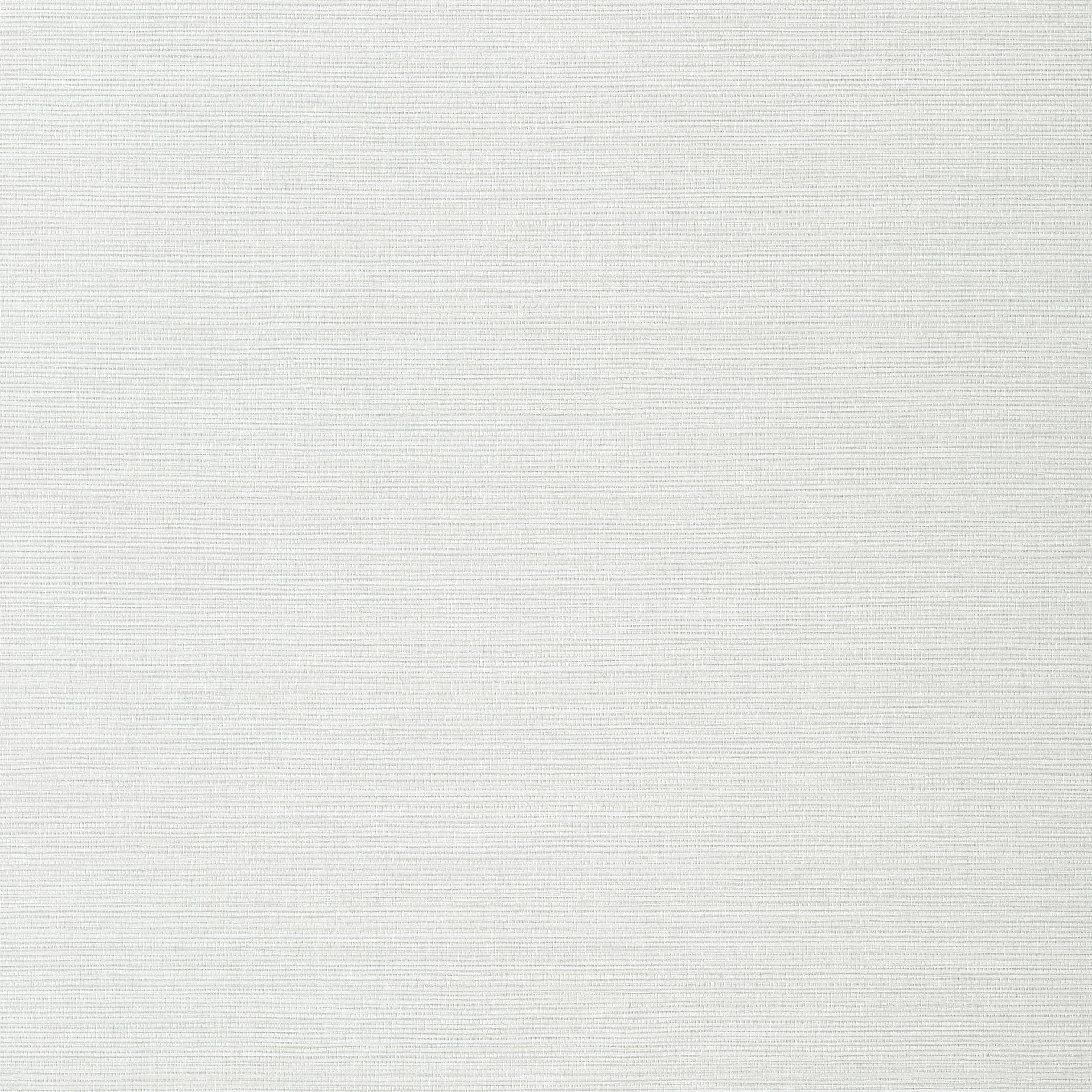 Taluk Sisal wallpaper in snow color - pattern number T282 - by Thibaut in the Texture Resource Volume 9 collection