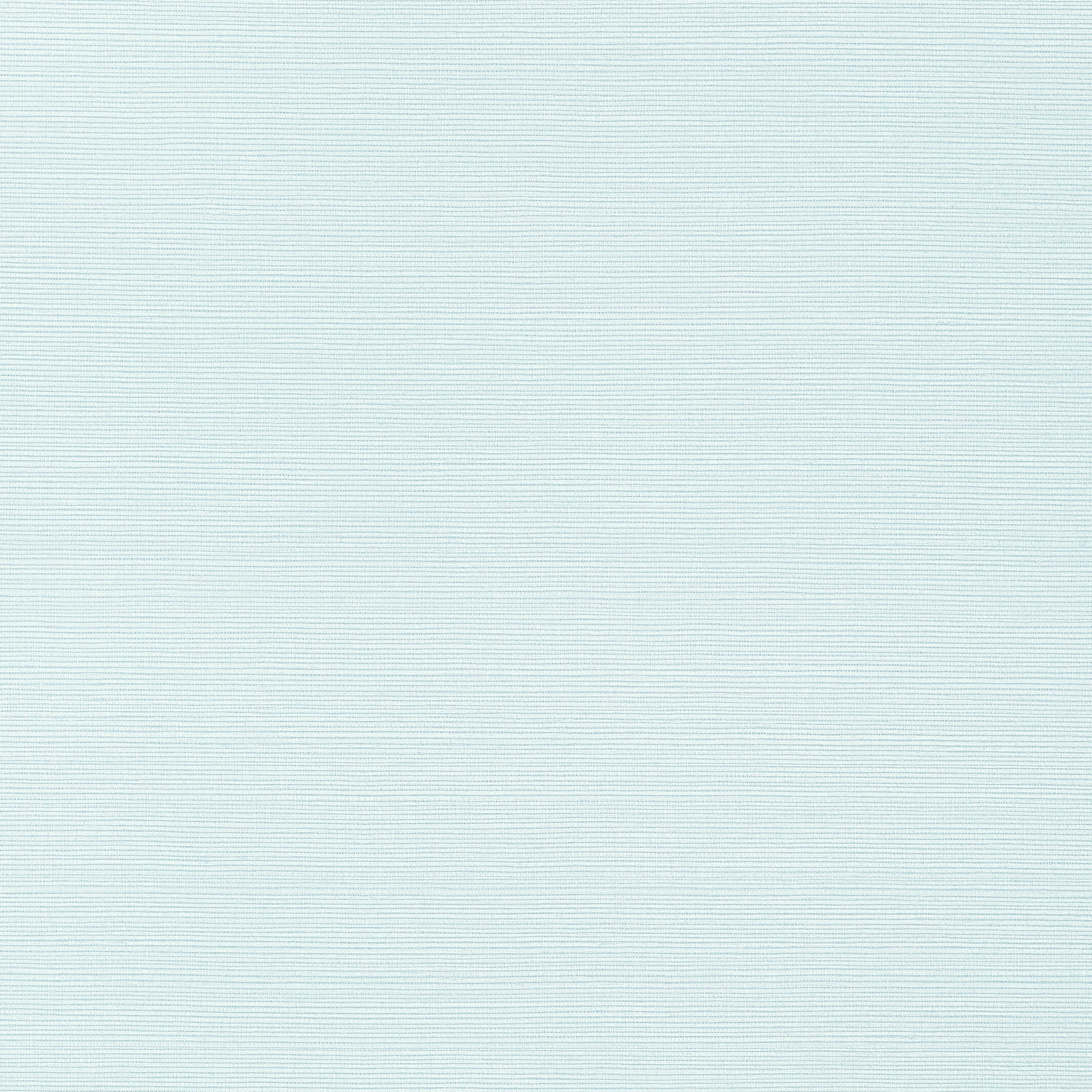 Taluk Sisal fabric in robins egg color - pattern number T284 - by Thibaut in the Texture Resource Volume 6 collection