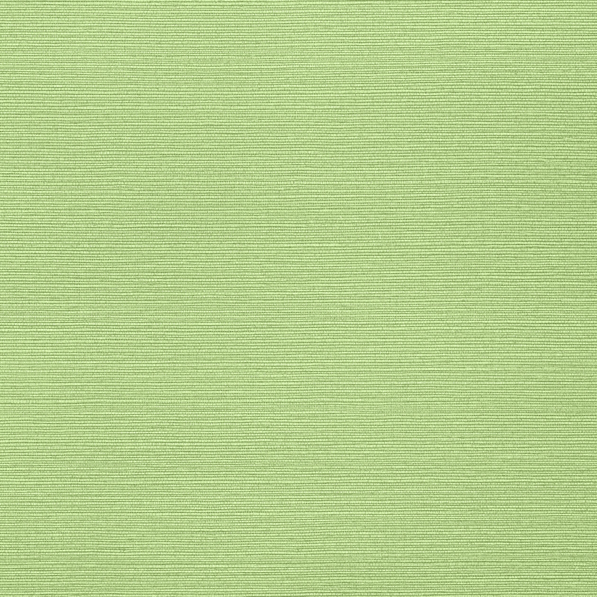 Taluk Sisal wallpaper in spring color - pattern number T287 - by Thibaut in the Texture Resource Volume 9 collection