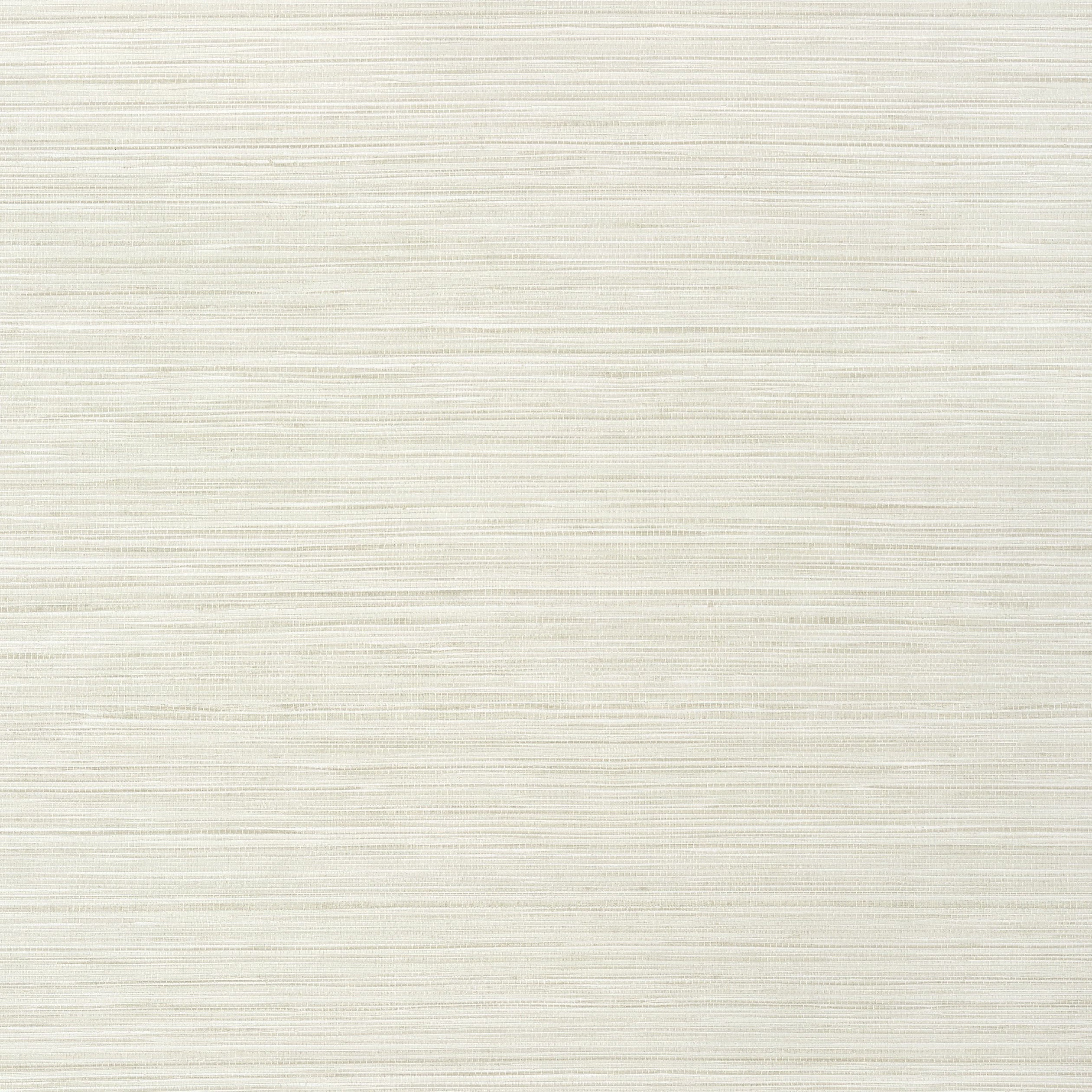 Kendari Grass fabric in cream color - pattern number T292 - by Thibaut in the Texture Resource Volume 6 collection