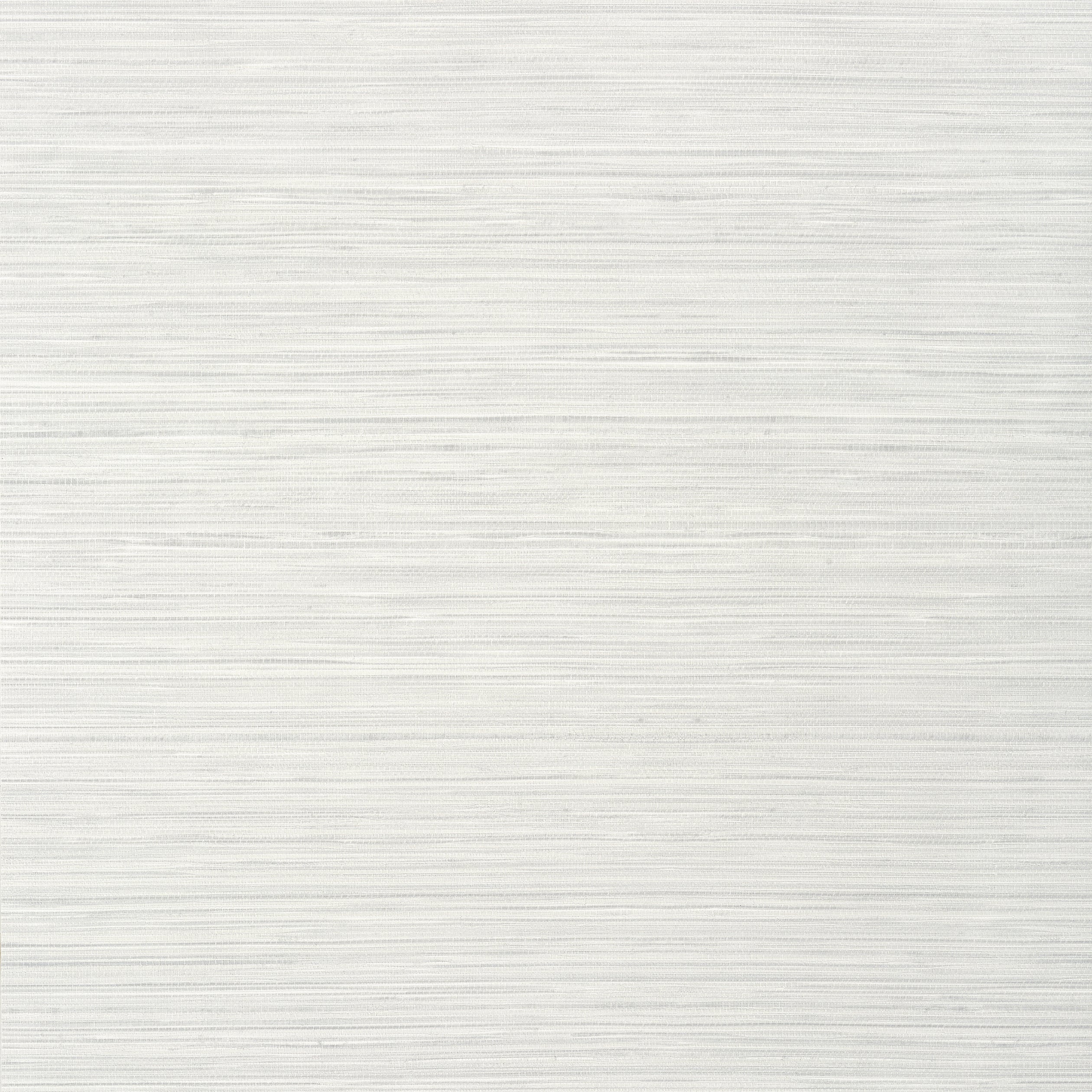 Kendari Grass fabric in light grey color - pattern number T293 - by Thibaut in the Texture Resource Volume 6 collection