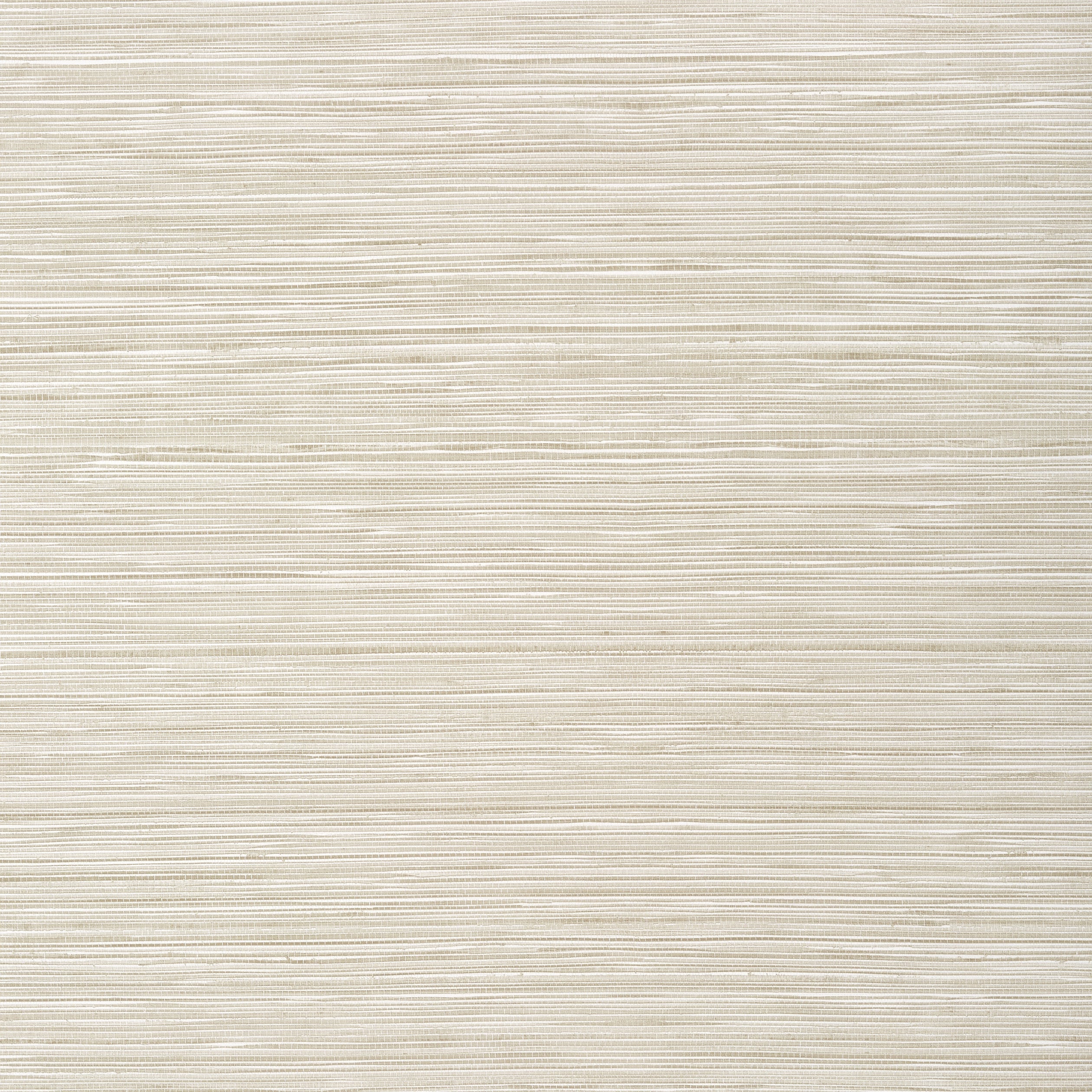 Kendari Grass fabric in putty color - pattern number T295 - by Thibaut in the Texture Resource Volume 6 collection