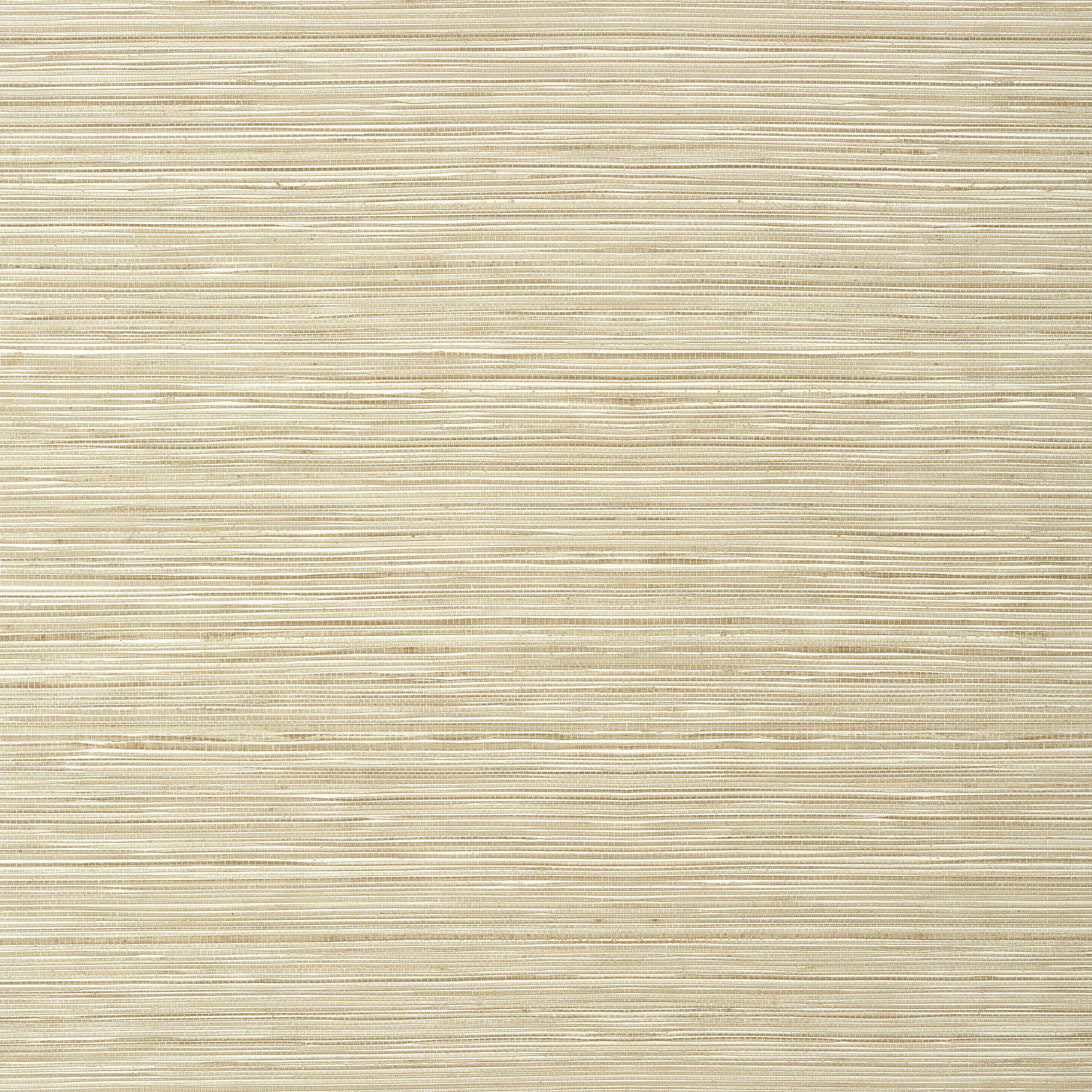 Kendari Grass fabric in sand color - pattern number T296 - by Thibaut in the Texture Resource Volume 6 collection