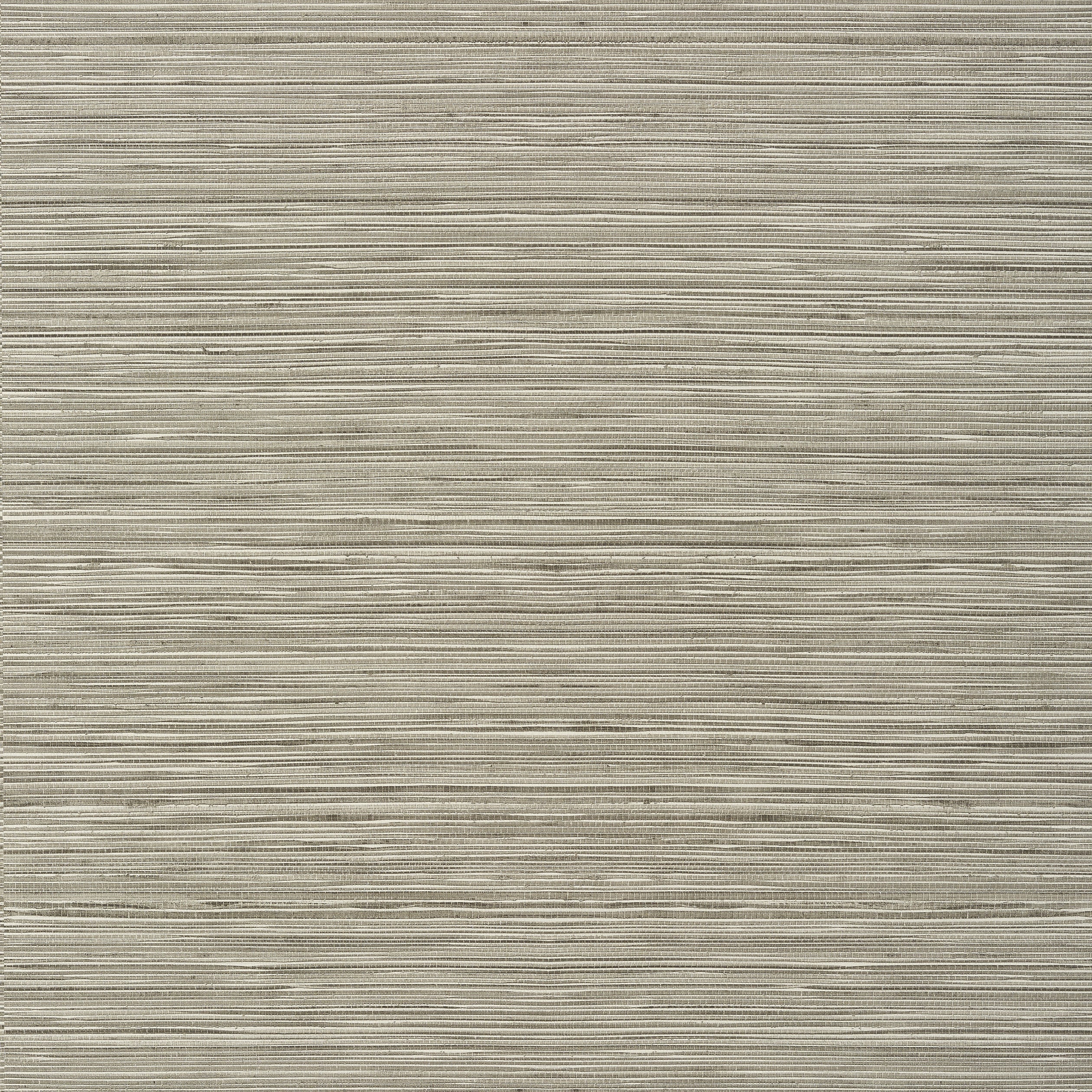 Kendari Grass fabric in taupe color - pattern number T297 - by Thibaut in the Texture Resource Volume 6 collection