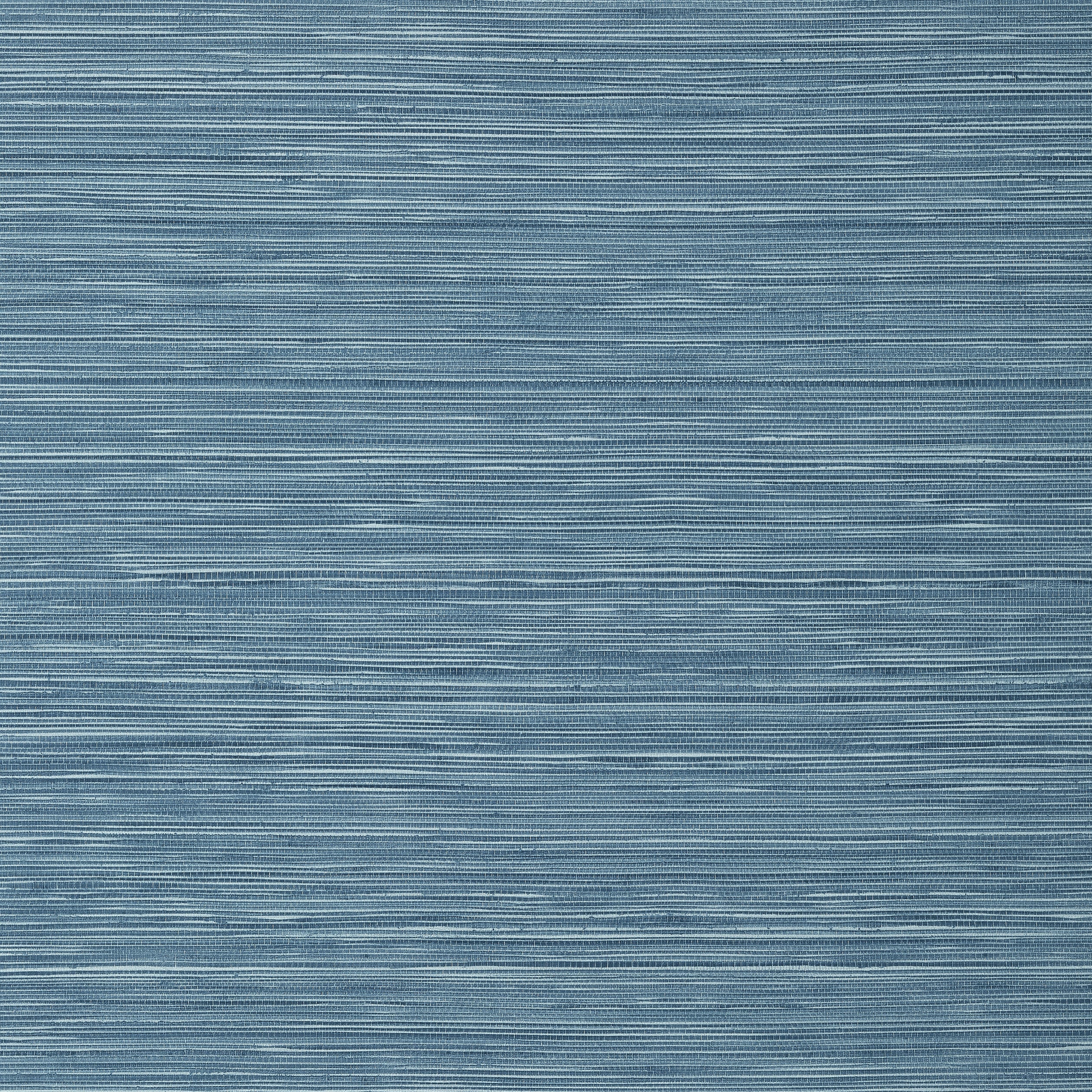 Kendari Grass fabric in blue color - pattern number T301 - by Thibaut in the Texture Resource Volume 6 collection