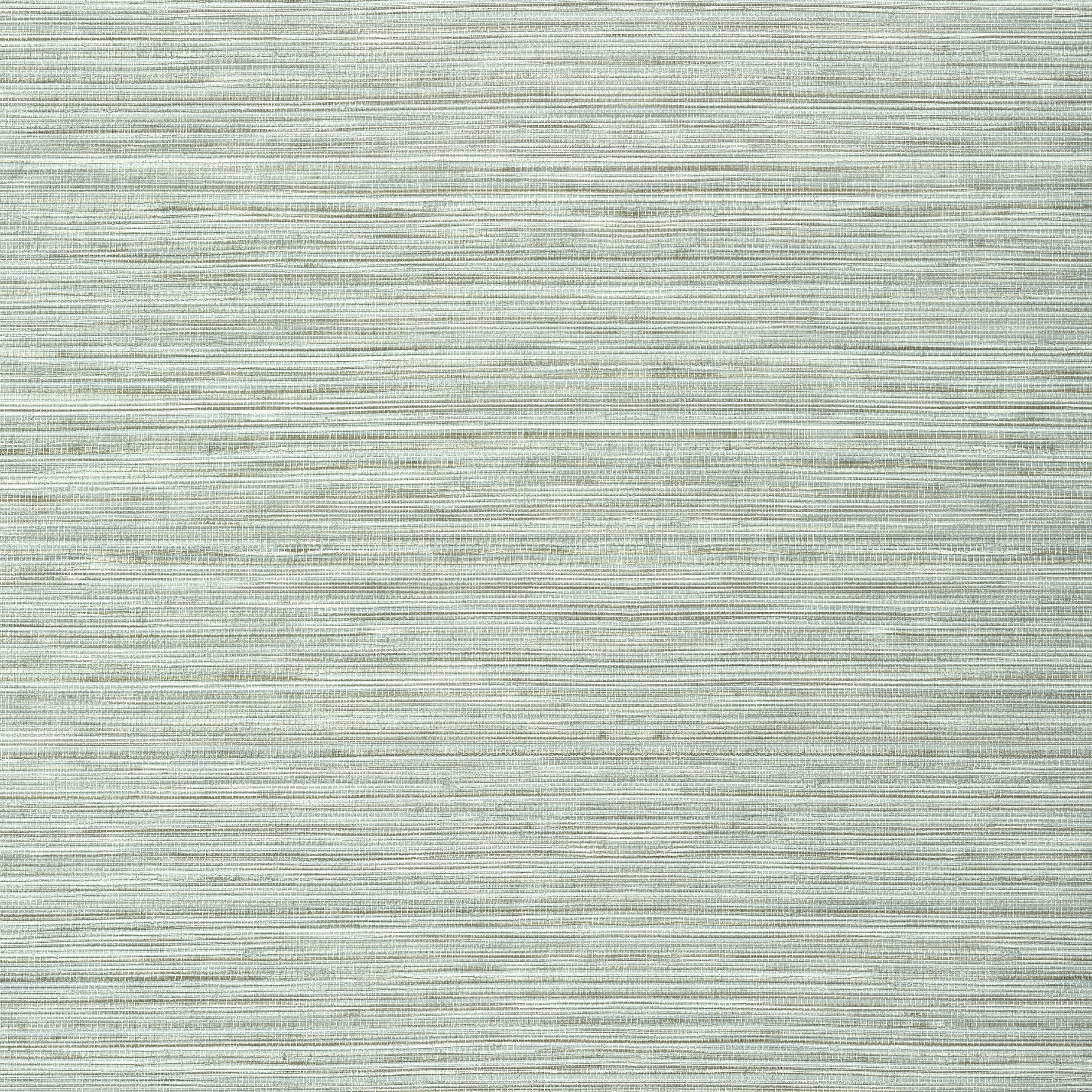 Kendari Grass fabric in robins egg color - pattern number T303 - by Thibaut in the Texture Resource Volume 6 collection