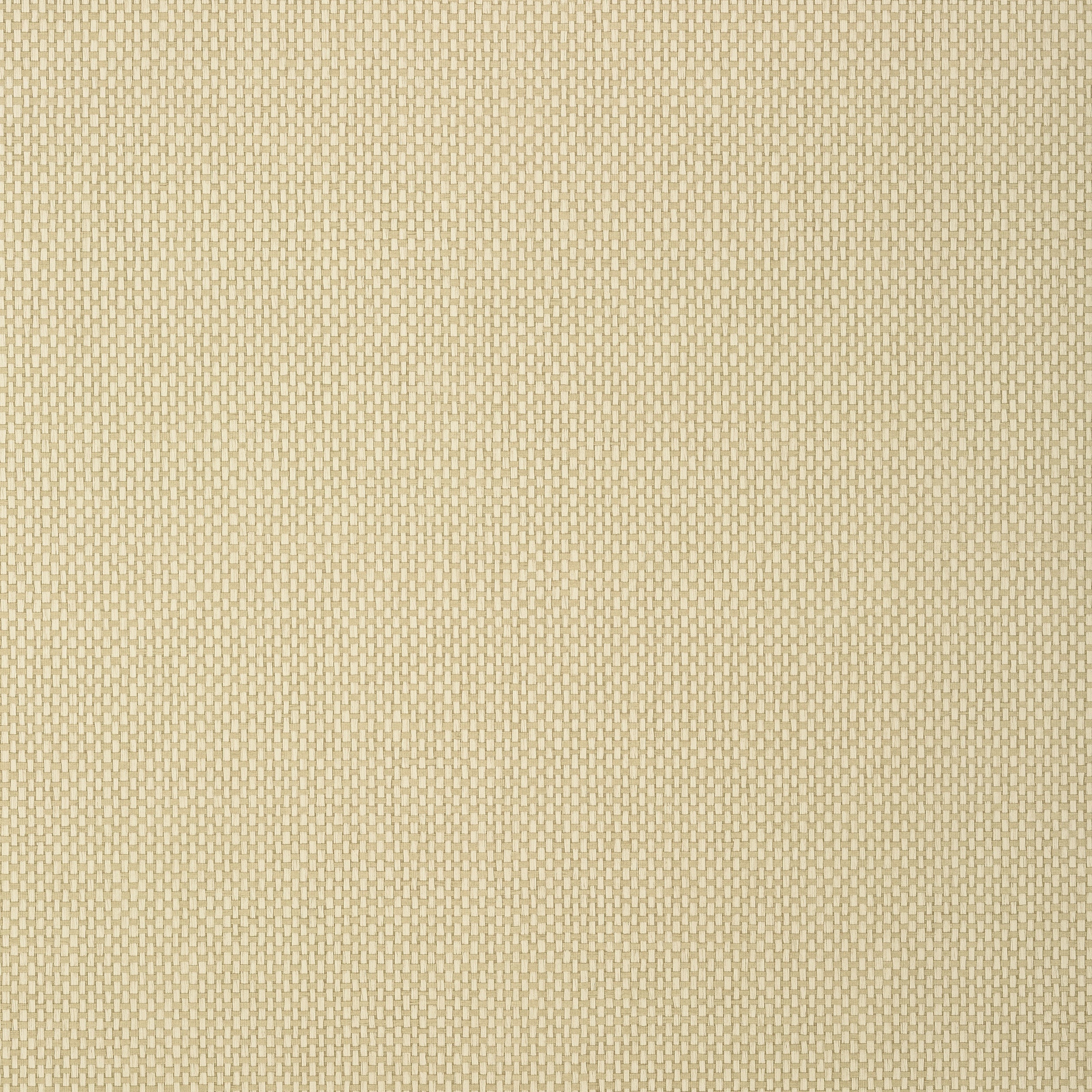 Cafe Weave fabric in camel color - pattern number T307 - by Thibaut in the Texture Resource Volume 6 collection